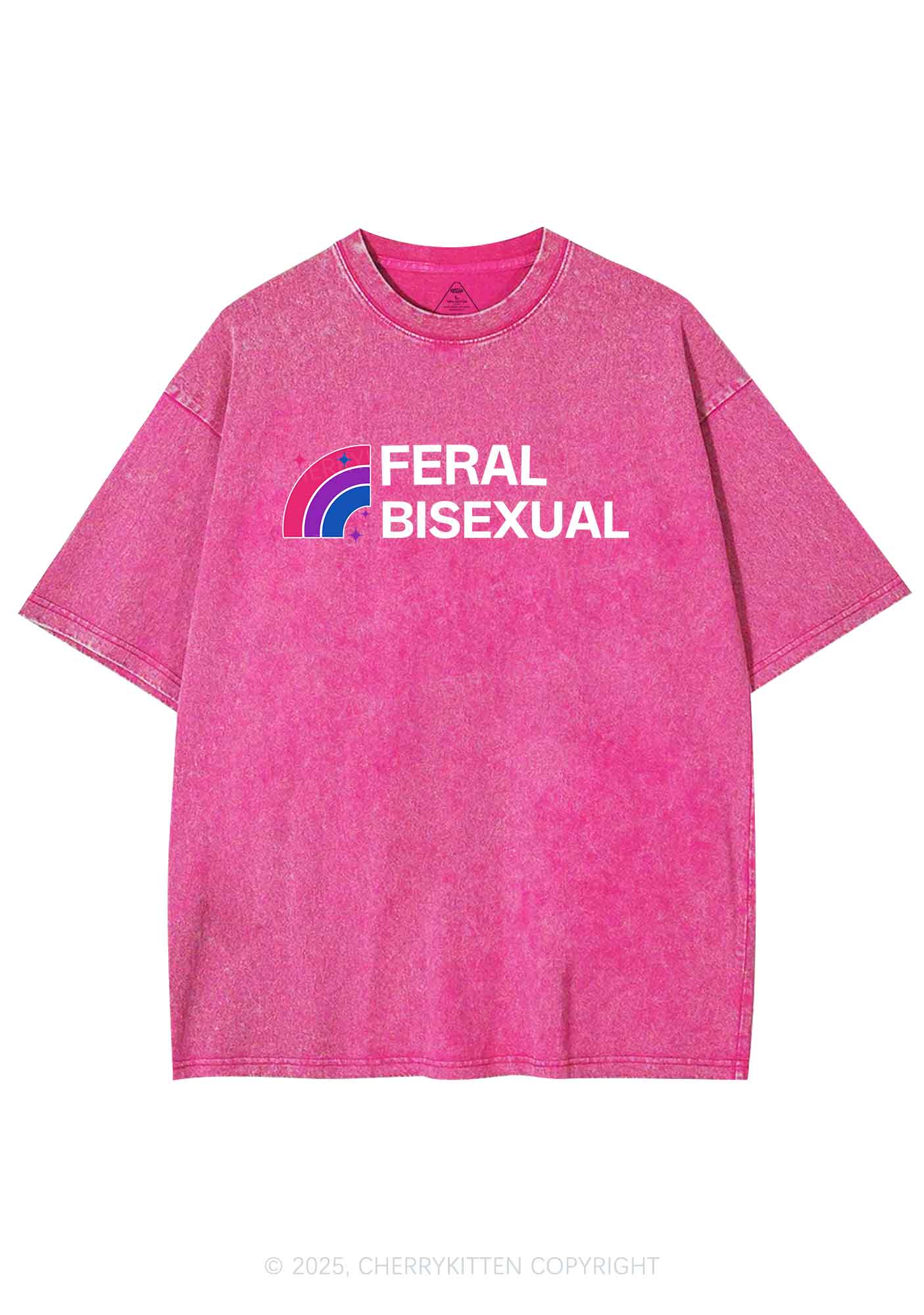 Feral Bisexual Pride Y2K Shirts Washed Tee Cherrykitten - Image 4