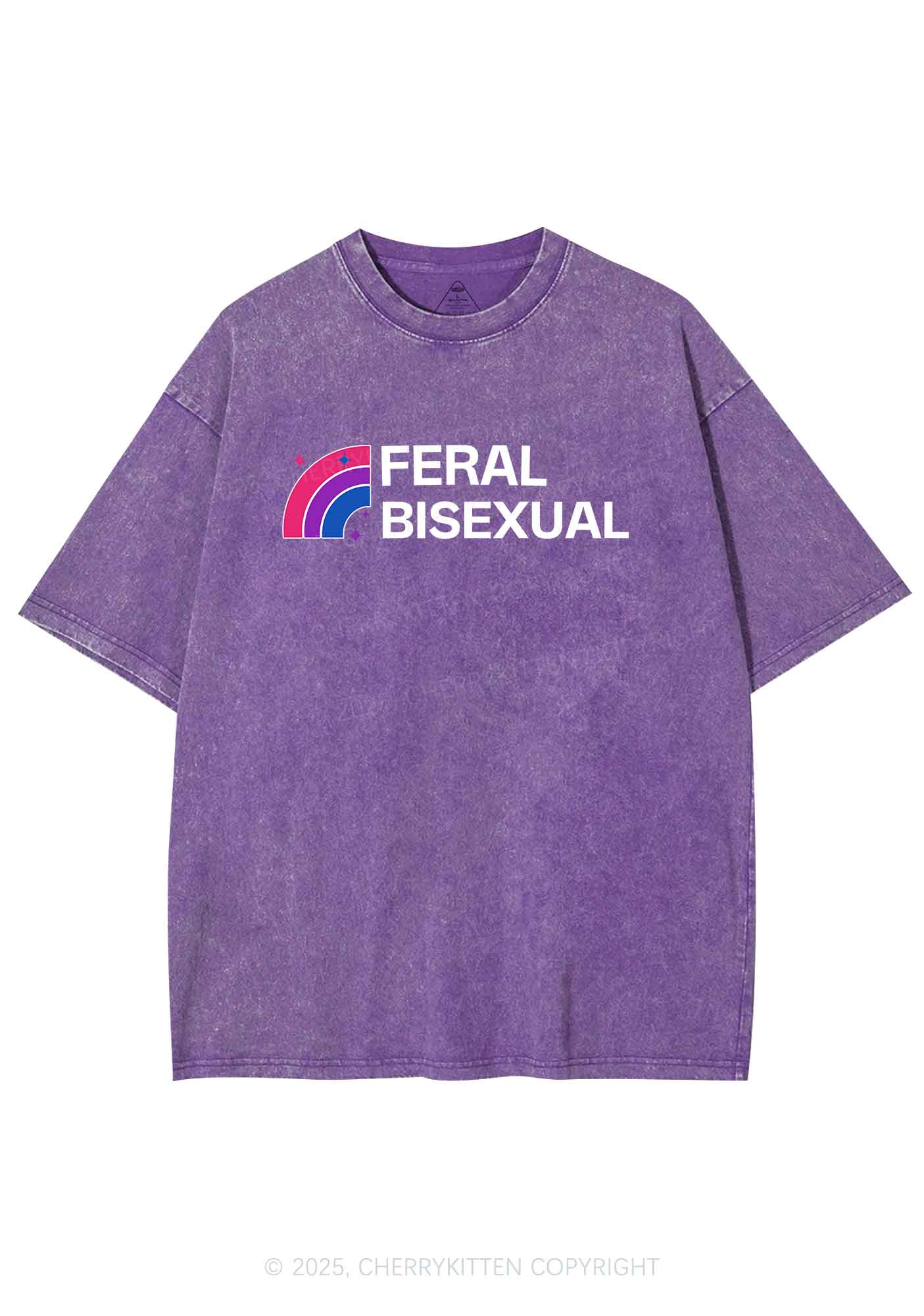 Feral Bisexual Pride Y2K Shirts Washed Tee Cherrykitten - Image 5