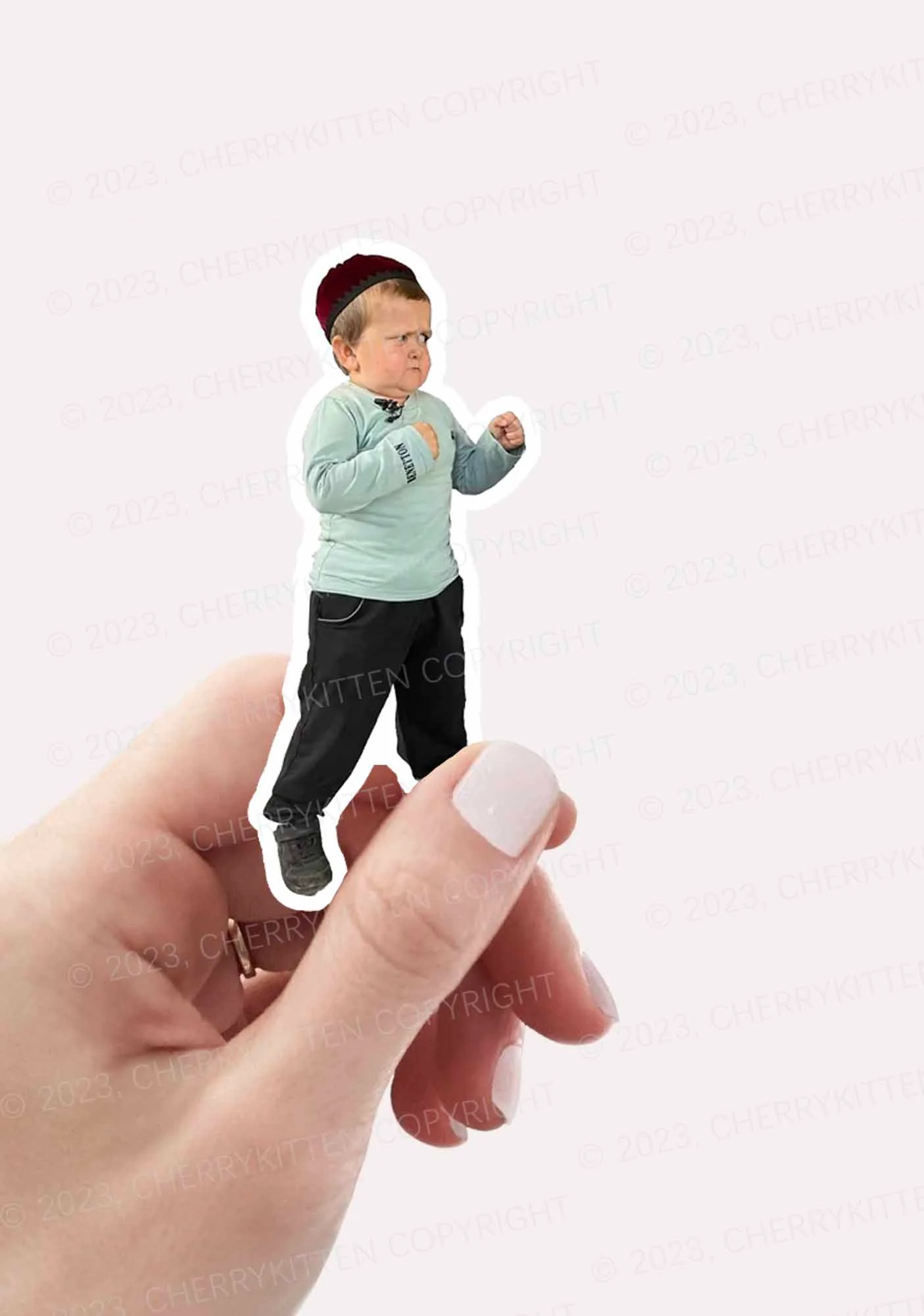 Fighting Boy 1Pc Y2K Sticker Cherrykitten - Image 2