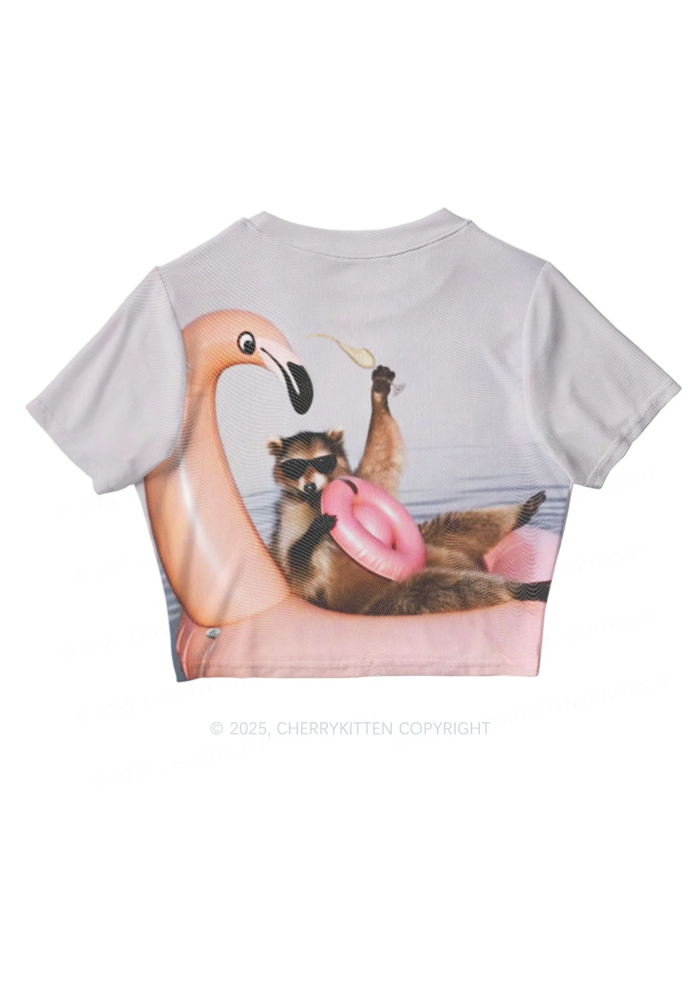 Flamingo Raccoon Y2K Mesh Crop Top Cherrykitten - Image 3