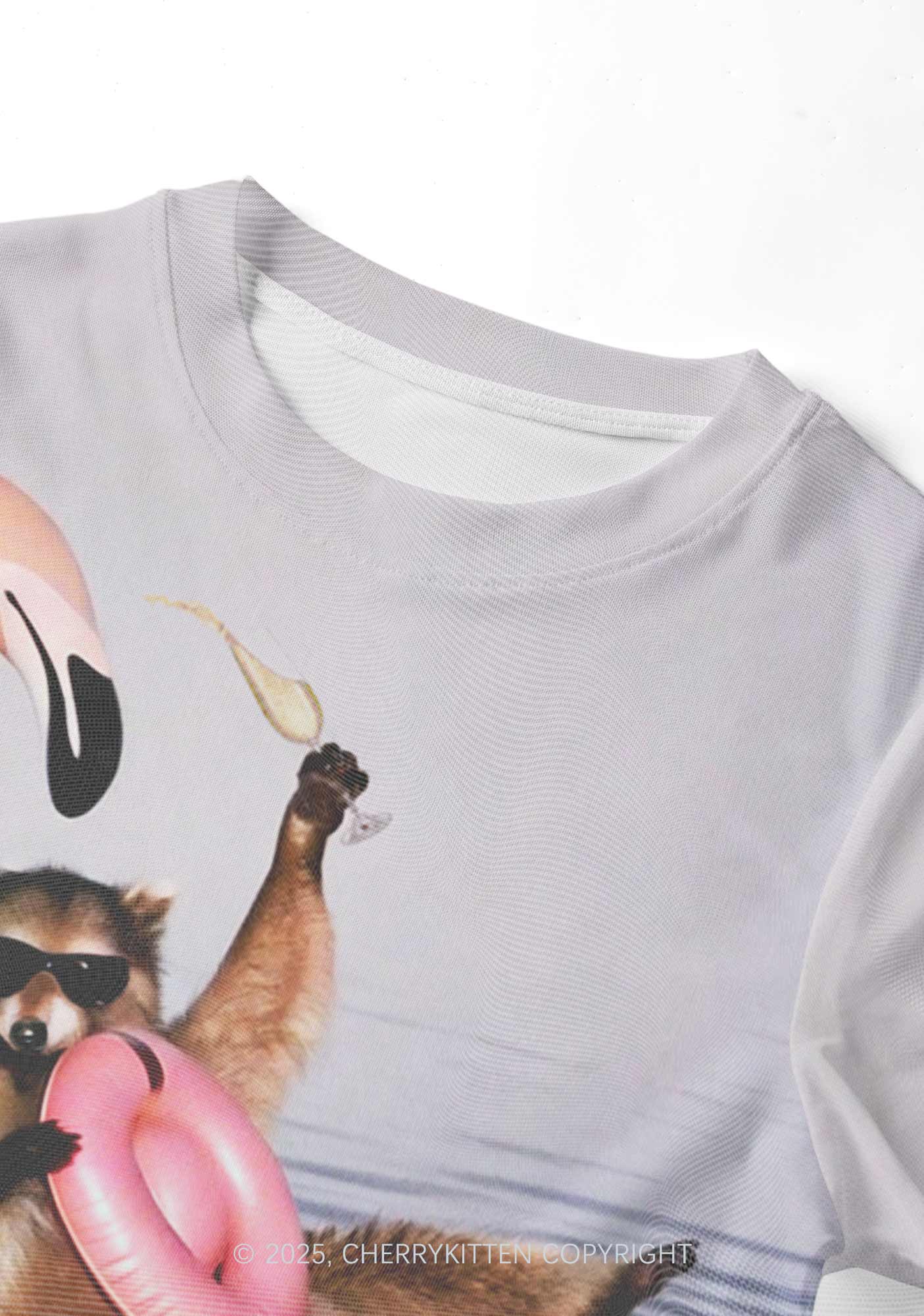 Flamingo Raccoon Y2K Mesh Crop Top Cherrykitten - Image 4