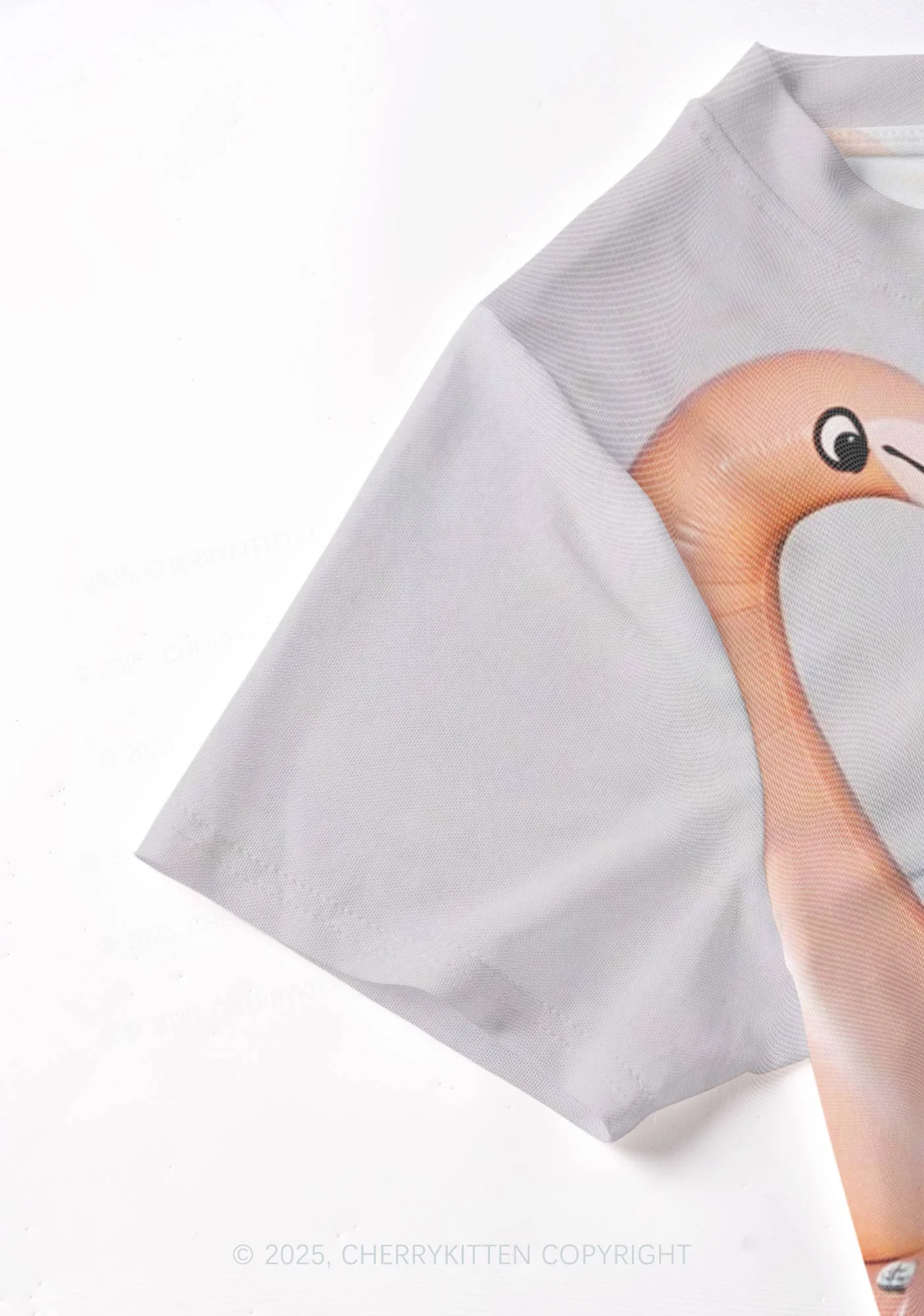 Flamingo Raccoon Y2K Mesh Crop Top Cherrykitten - Image 5