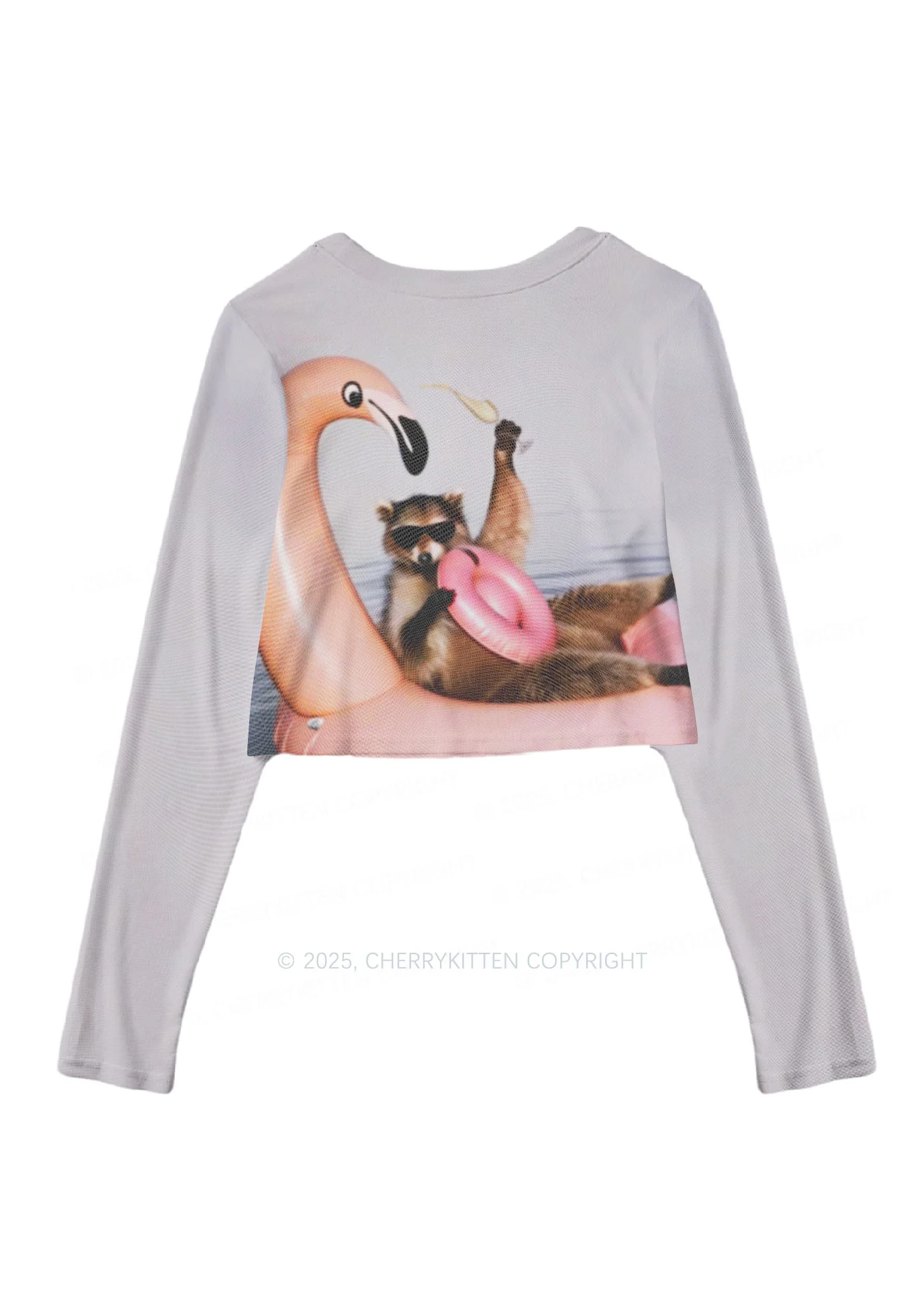 Flamingo Raccoon Y2K Mesh Long Sleeve Crop Top Cherrykitten - Image 3