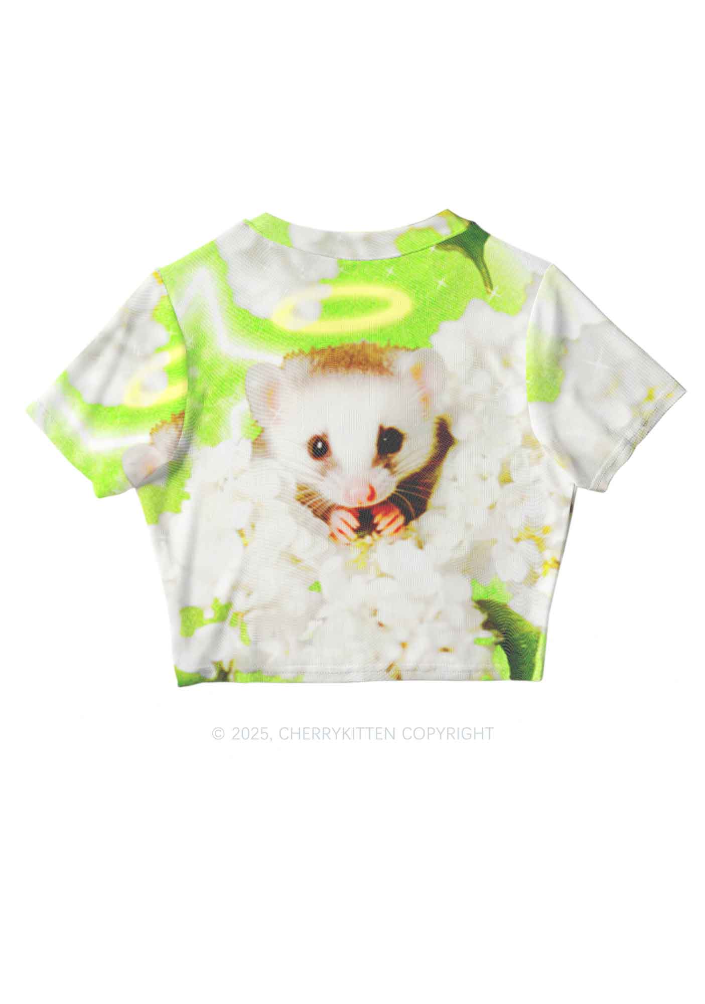 Flower Angel Ratz Y2K Mesh Crop Top Cherrykitten - Image 3
