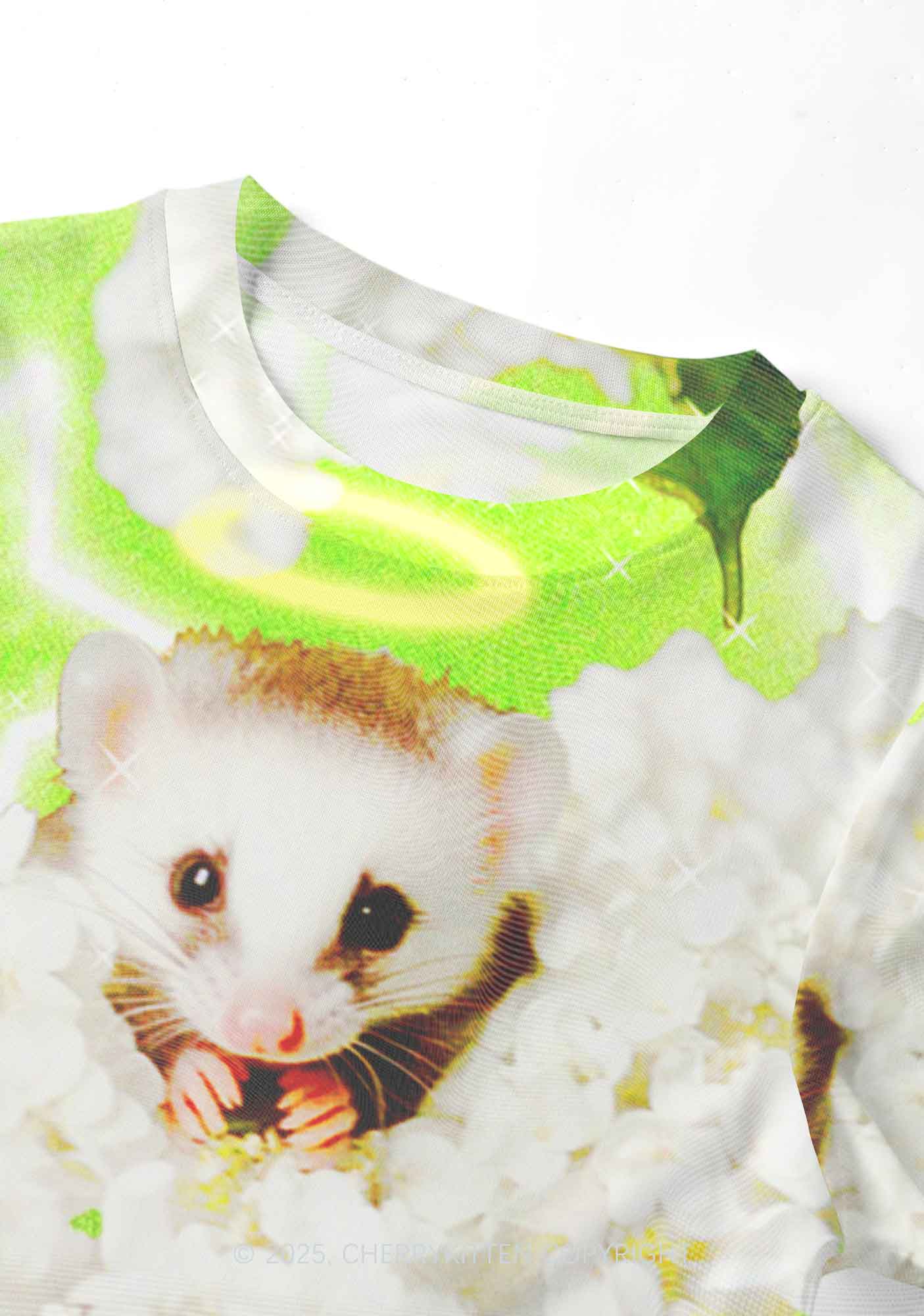 Flower Angel Ratz Y2K Mesh Crop Top Cherrykitten - Image 4