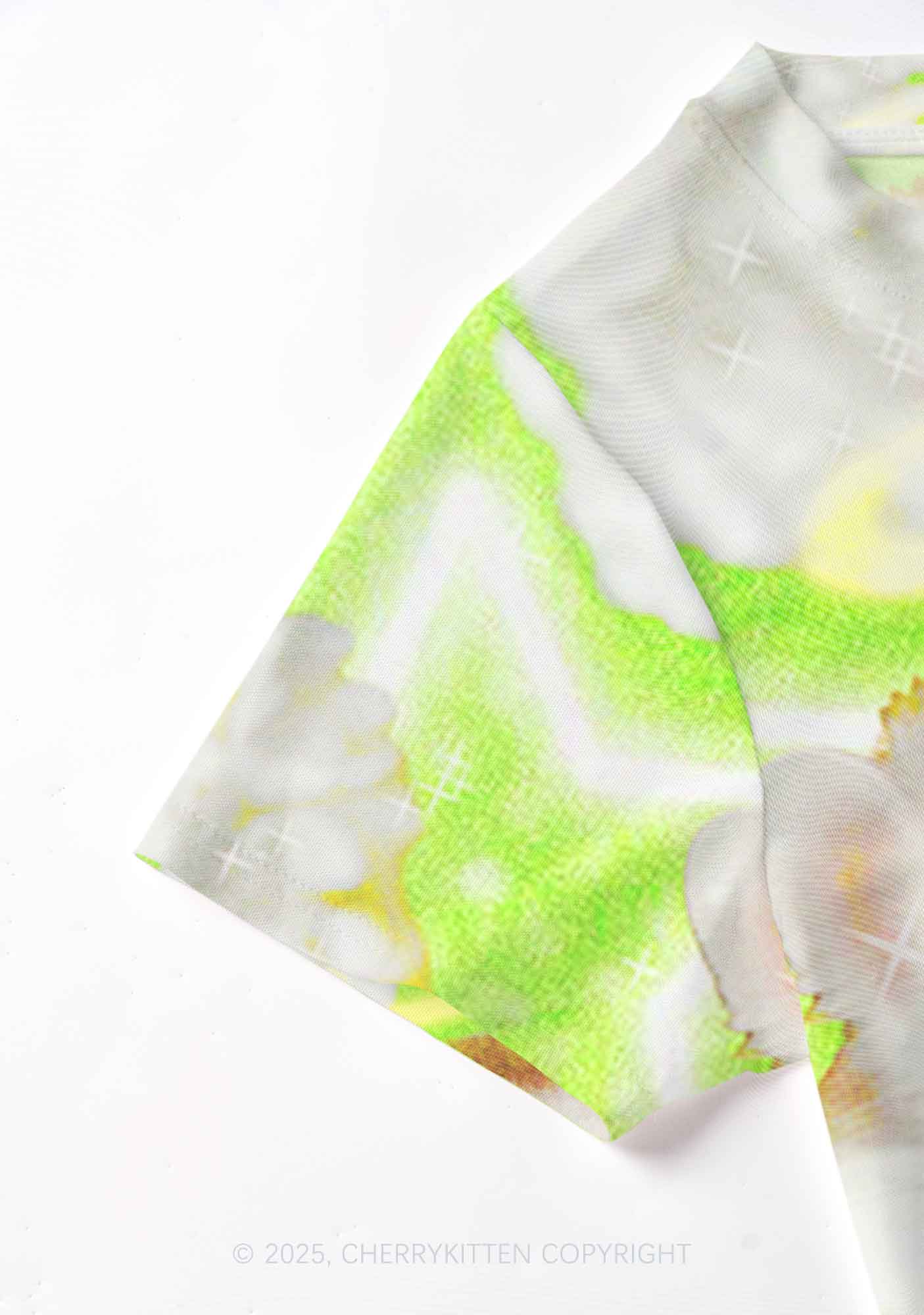 Flower Angel Ratz Y2K Mesh Crop Top Cherrykitten - Image 5