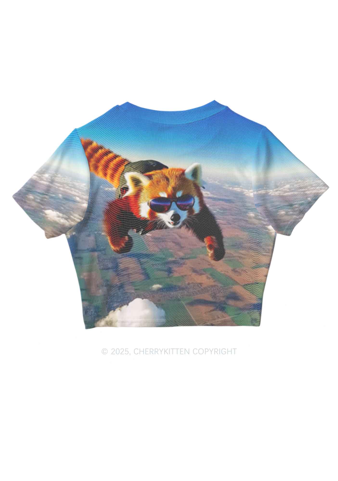 Flying Cool Raccoon Y2K Mesh Crop Top Cherrykitten - Image 3