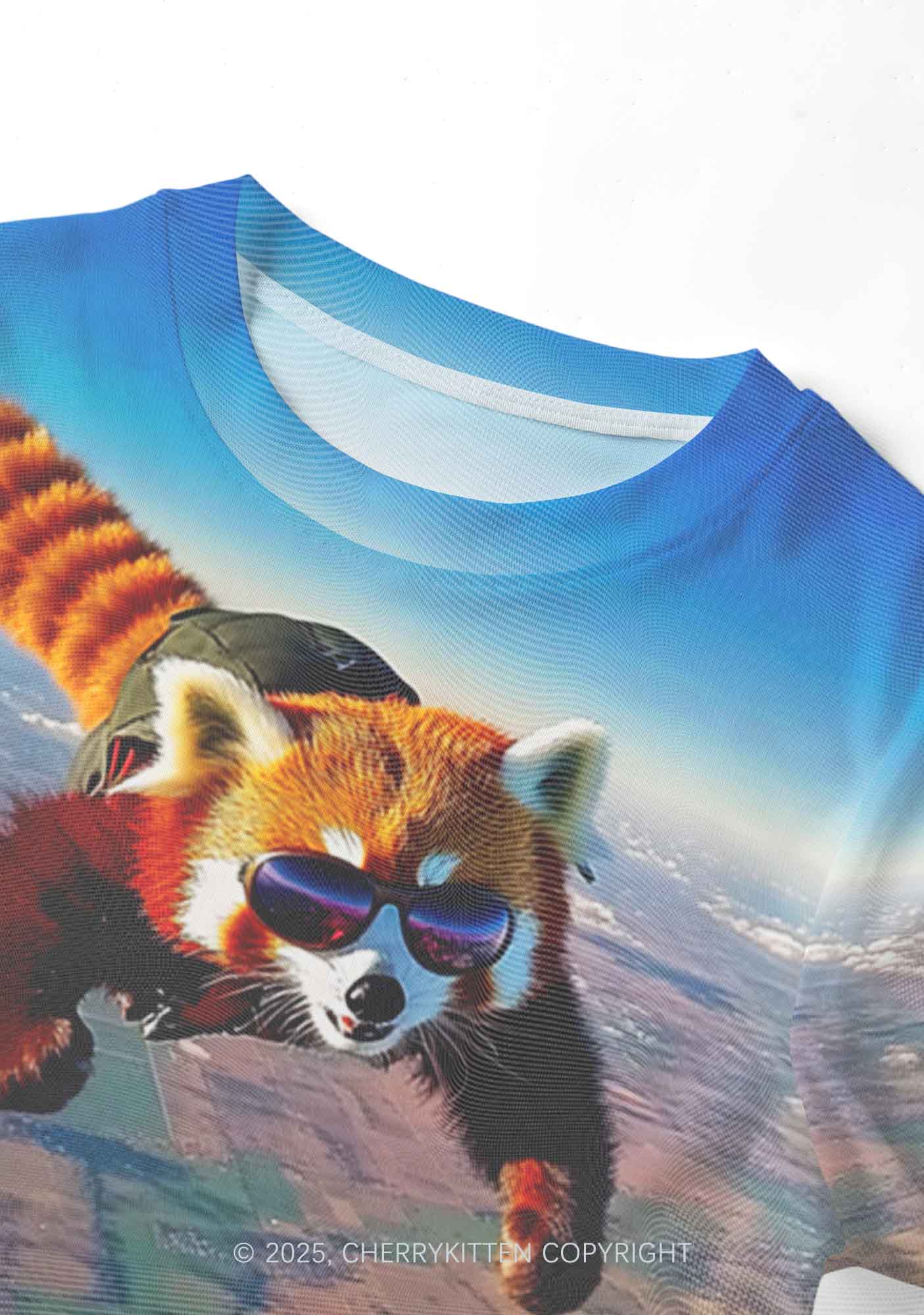 Flying Cool Raccoon Y2K Mesh Crop Top Cherrykitten - Image 4