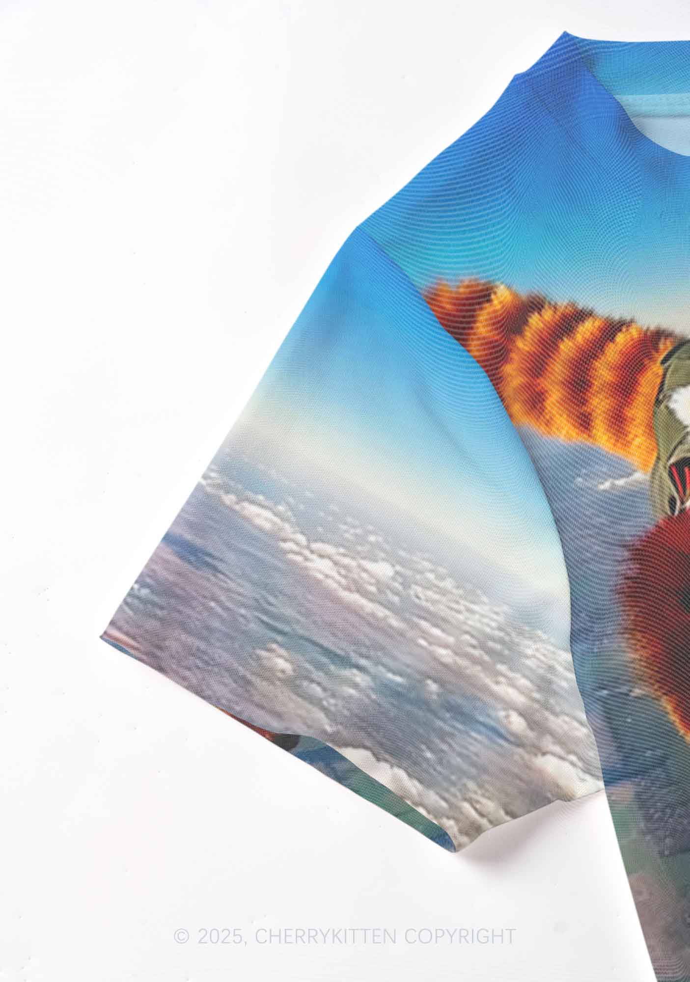 Flying Cool Raccoon Y2K Mesh Crop Top Cherrykitten - Image 5