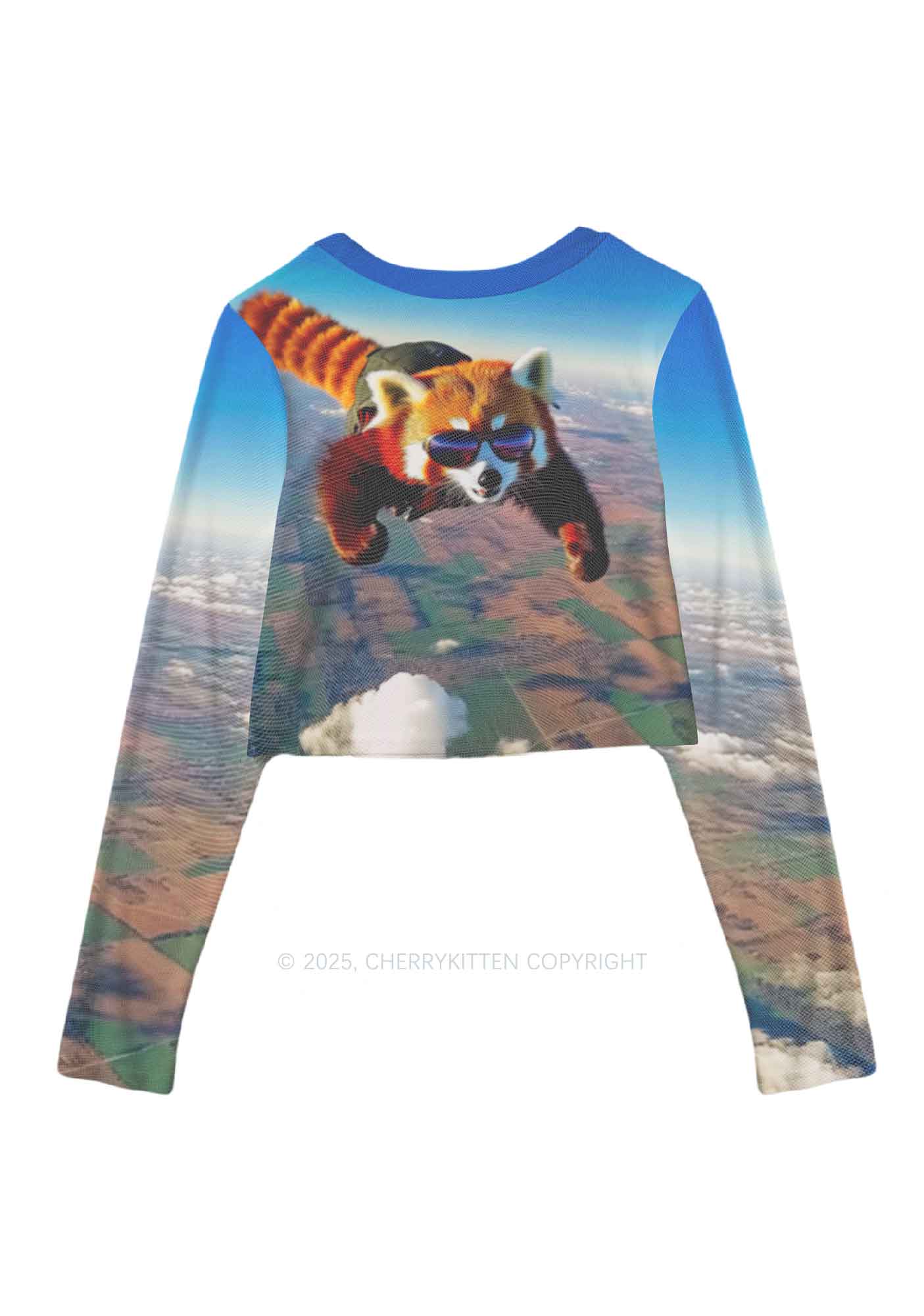 Flying Cool Raccoon Y2K Mesh Long Sleeve Crop Top Cherrykitten - Image 3