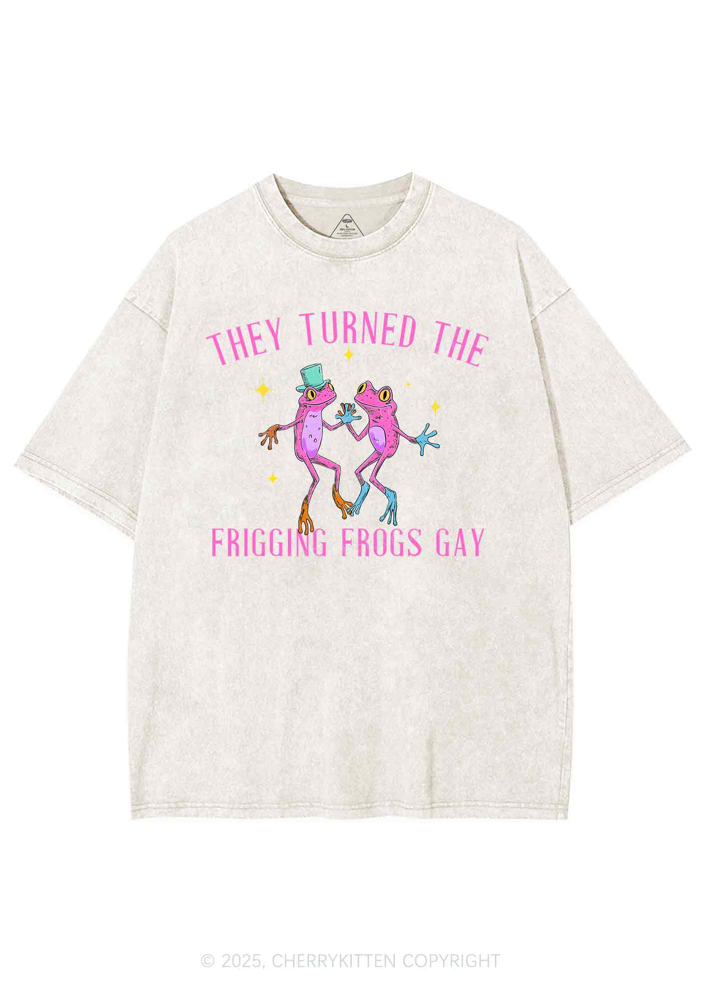 Frogs Gay Pride Y2K Shirts Washed Tee Cherrykitten - Image 5