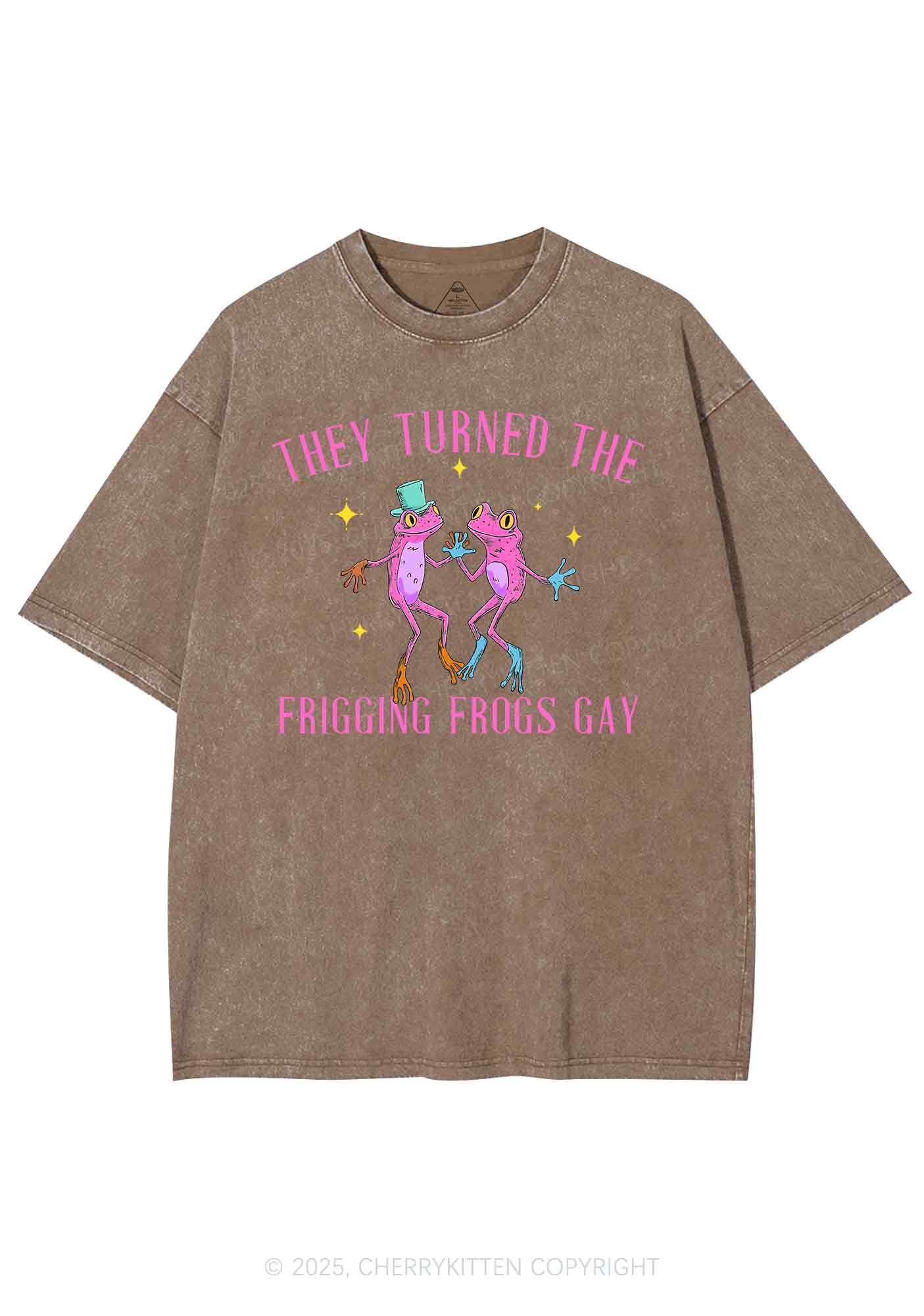 Frogs Gay Pride Y2K Shirts Washed Tee Cherrykitten - Image 6