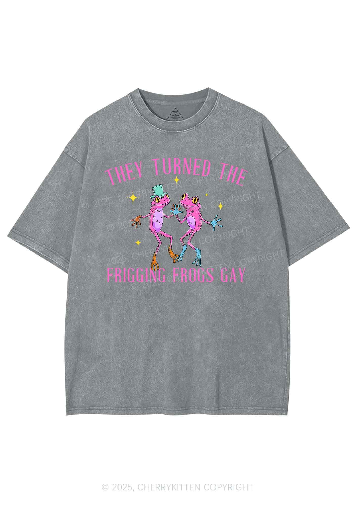 Frogs Gay Pride Y2K Shirts Washed Tee Cherrykitten - Image 7