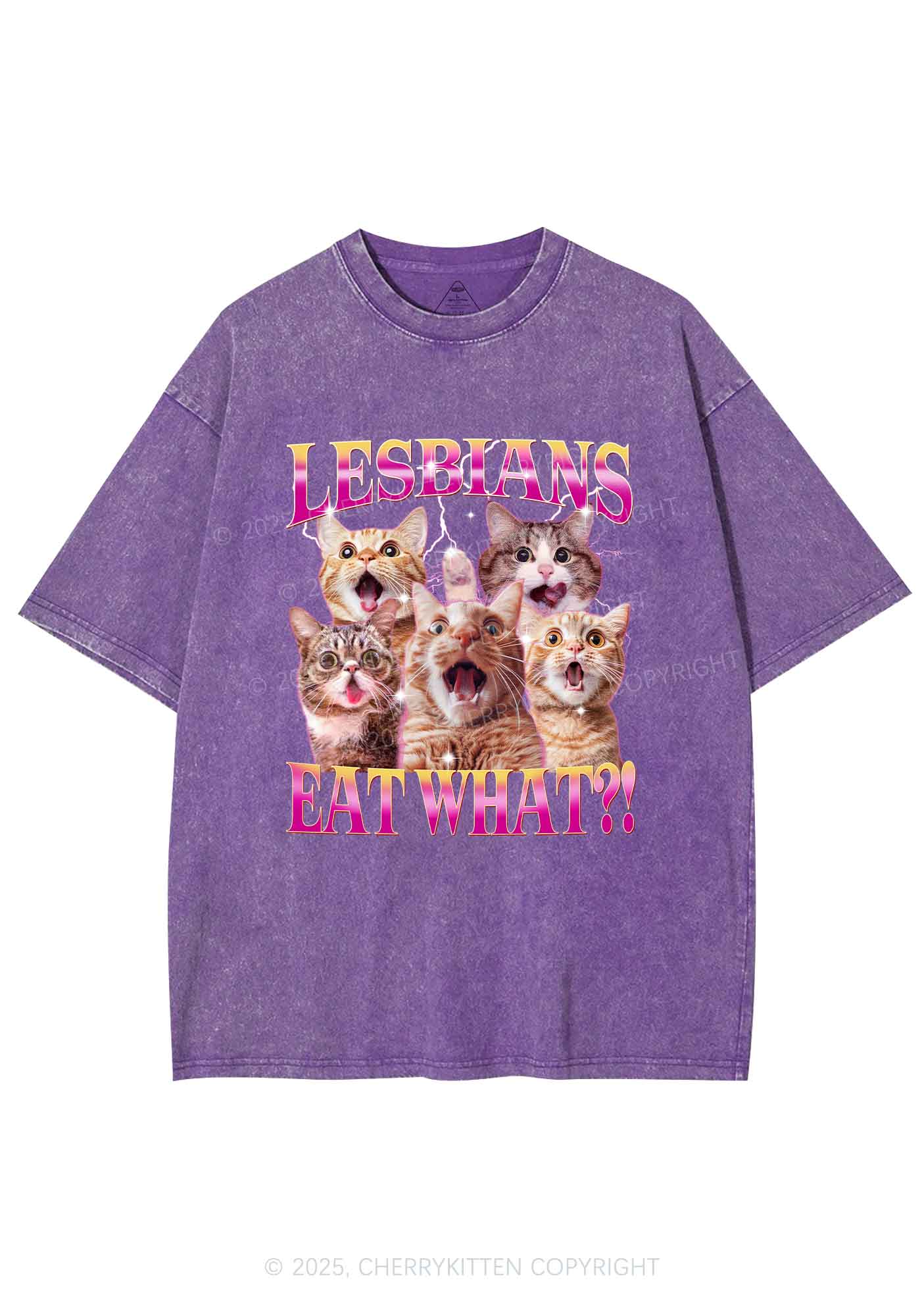 Funny Lesbian Cat Y2K Shirts Washed Tee Cherrykitten - Image 3