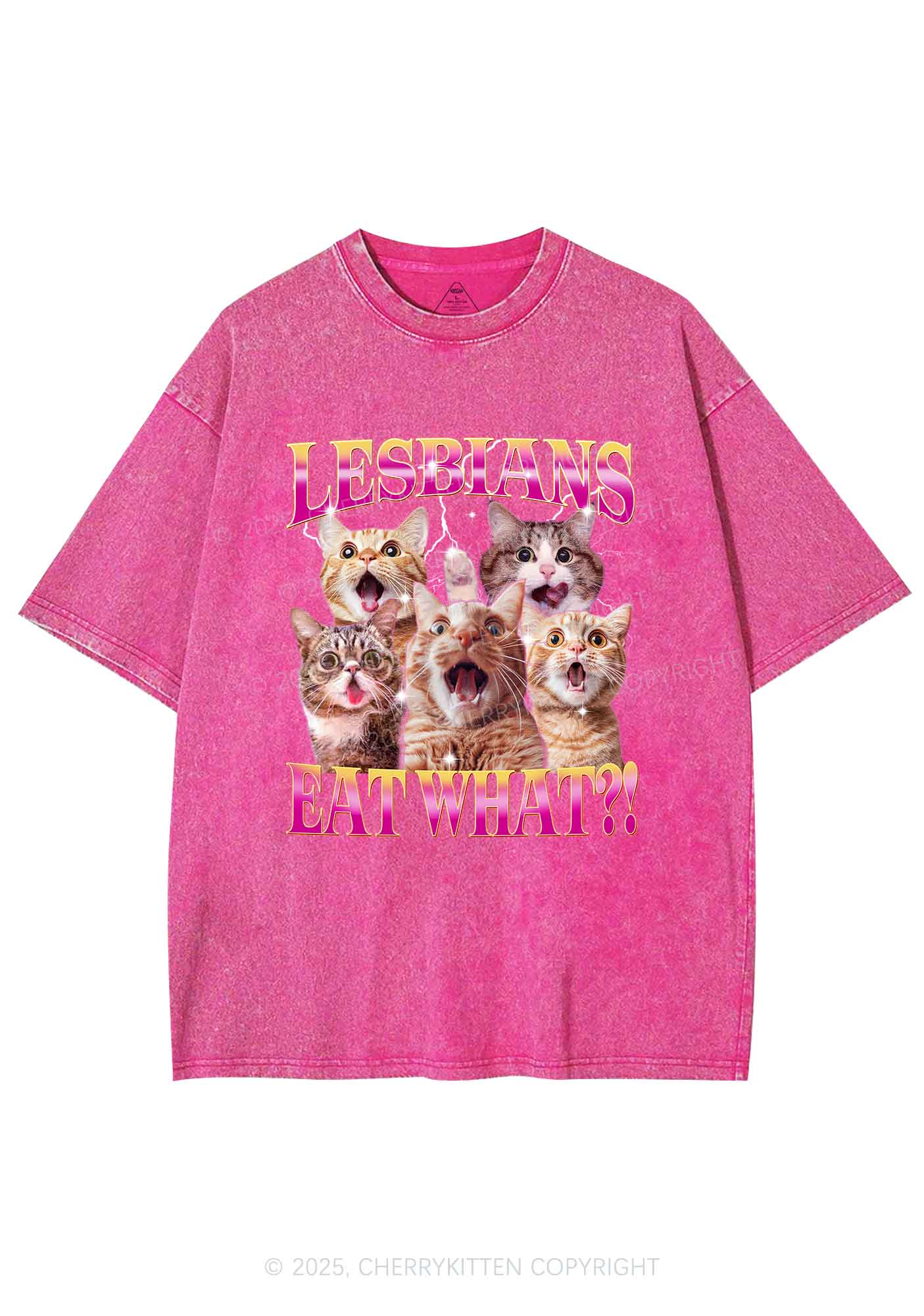 Funny Lesbian Cat Y2K Shirts Washed Tee Cherrykitten - Image 4