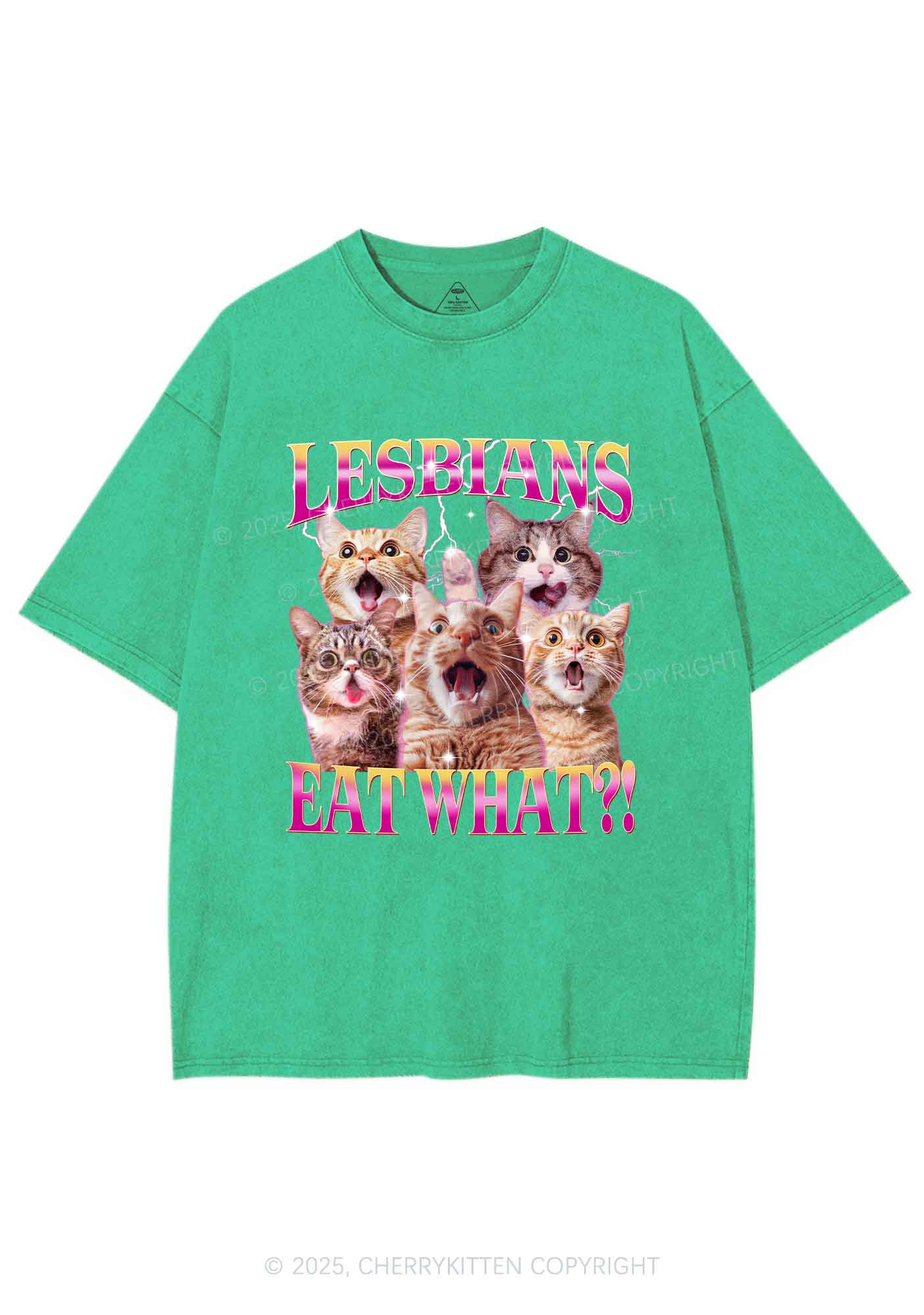 Funny Lesbian Cat Y2K Shirts Washed Tee Cherrykitten - Image 8