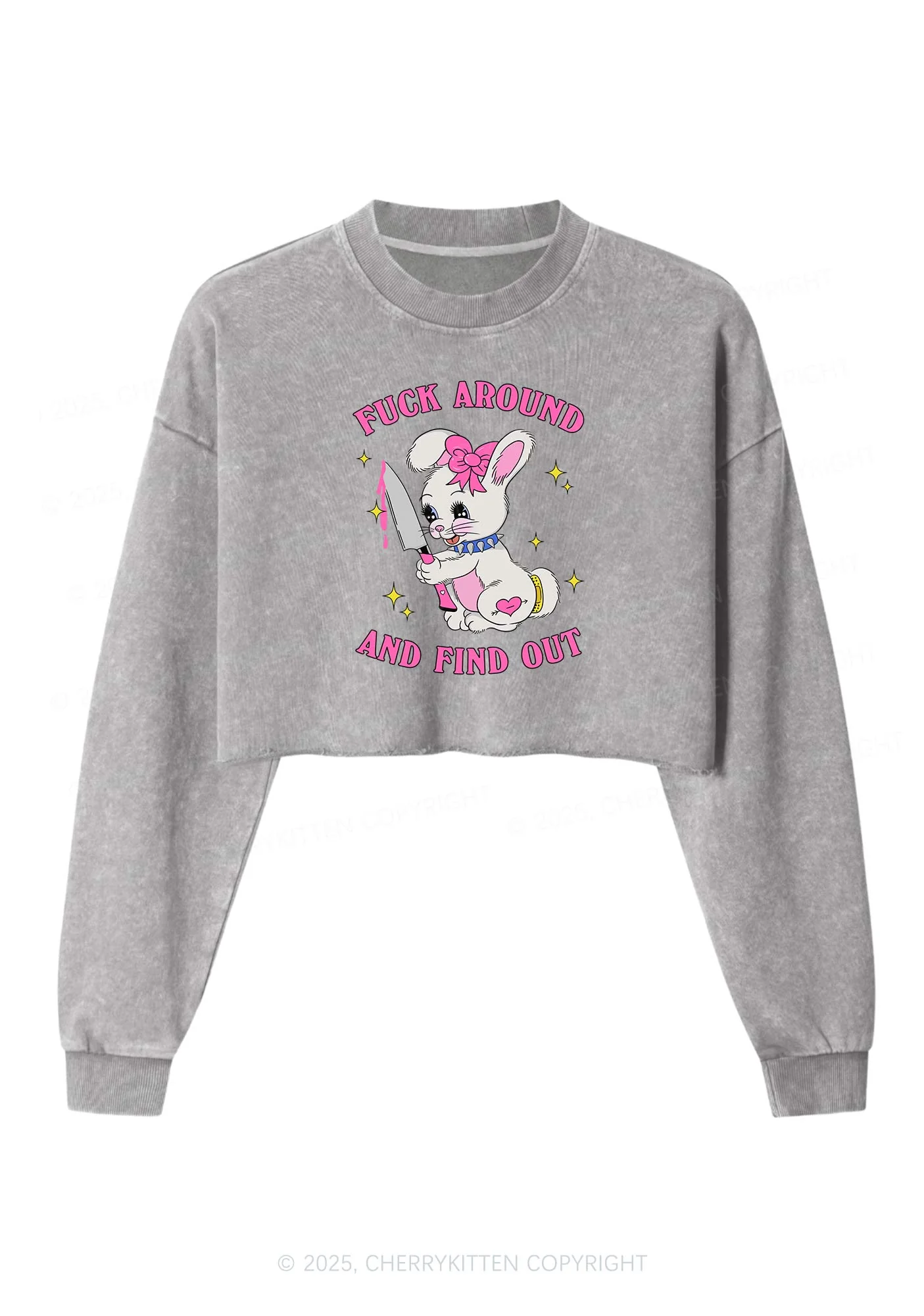 Fxxk Around Bunny Y2K Crop Washed Sweatshirts Cherrykitten - Image 4