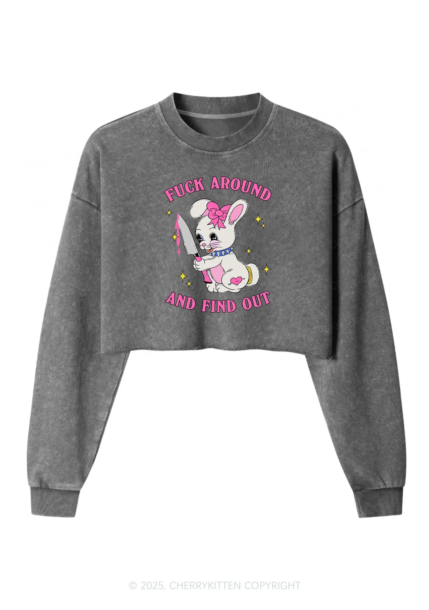 Fxxk Around Bunny Y2K Crop Washed Sweatshirts Cherrykitten - Image 5