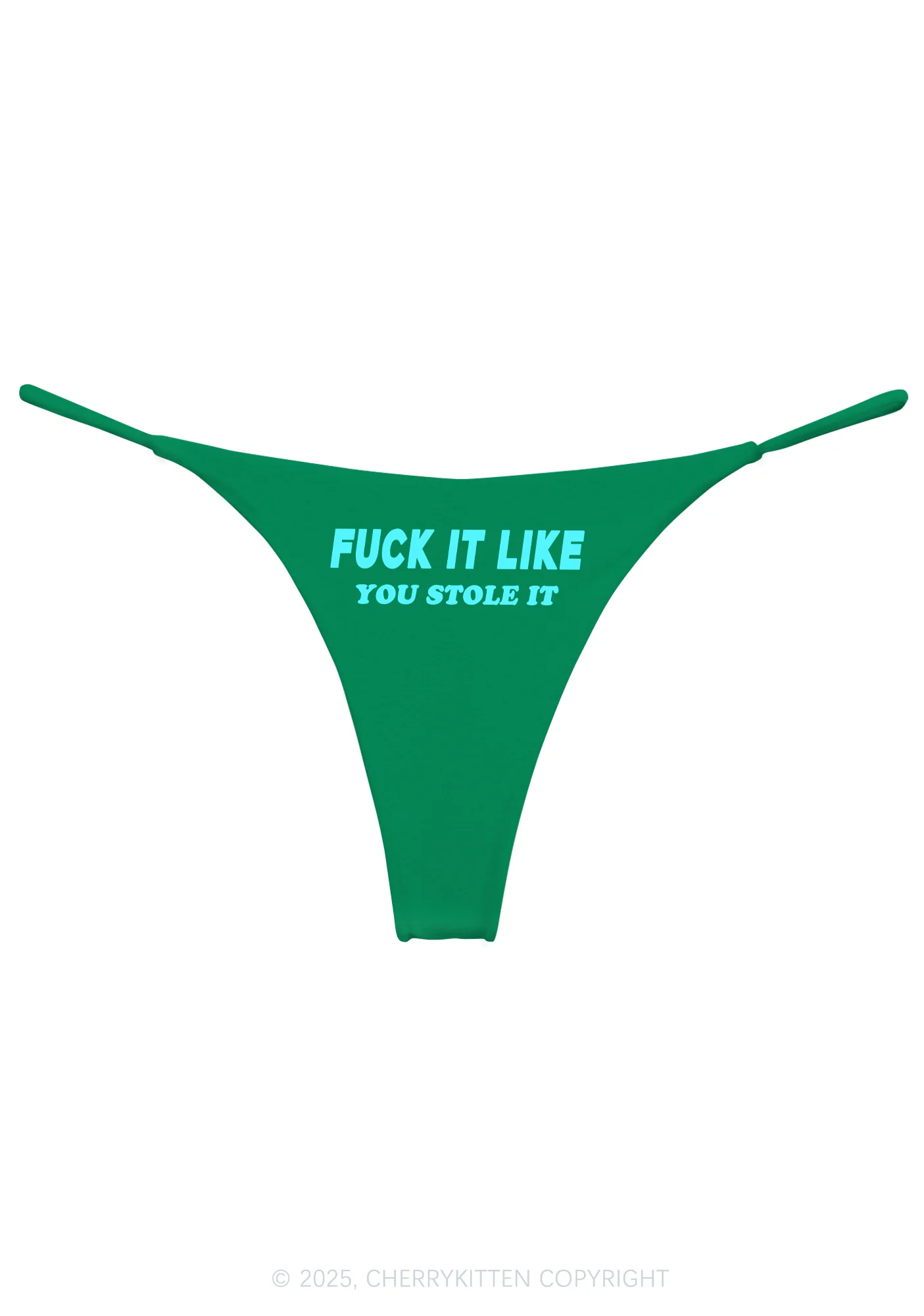 Fxxk It Like Stole Y2K Bikini String Thong Cherrykitten - Image 8