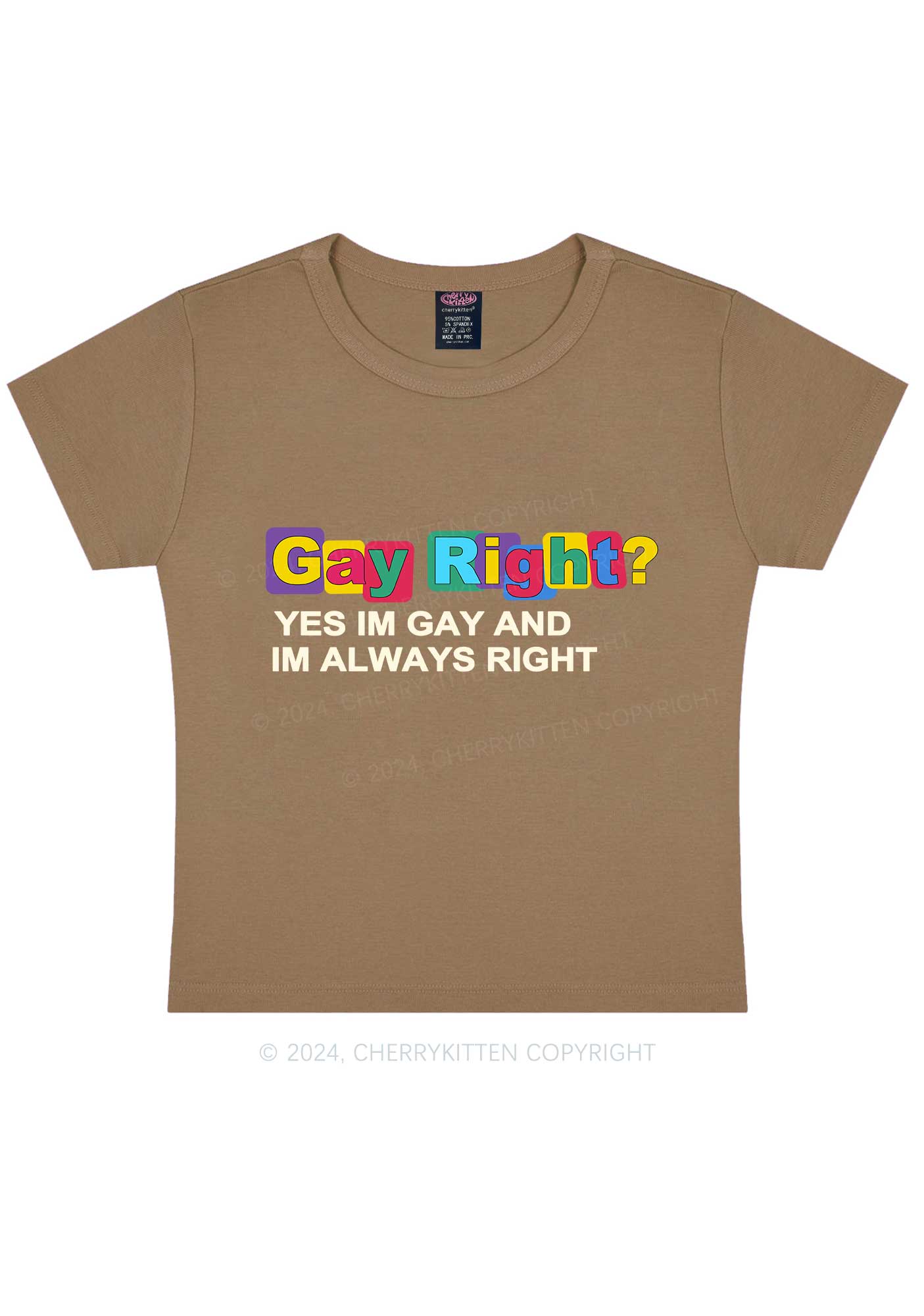 Gay Always Right Y2K Baby Tee Cherrykitten - Image 10