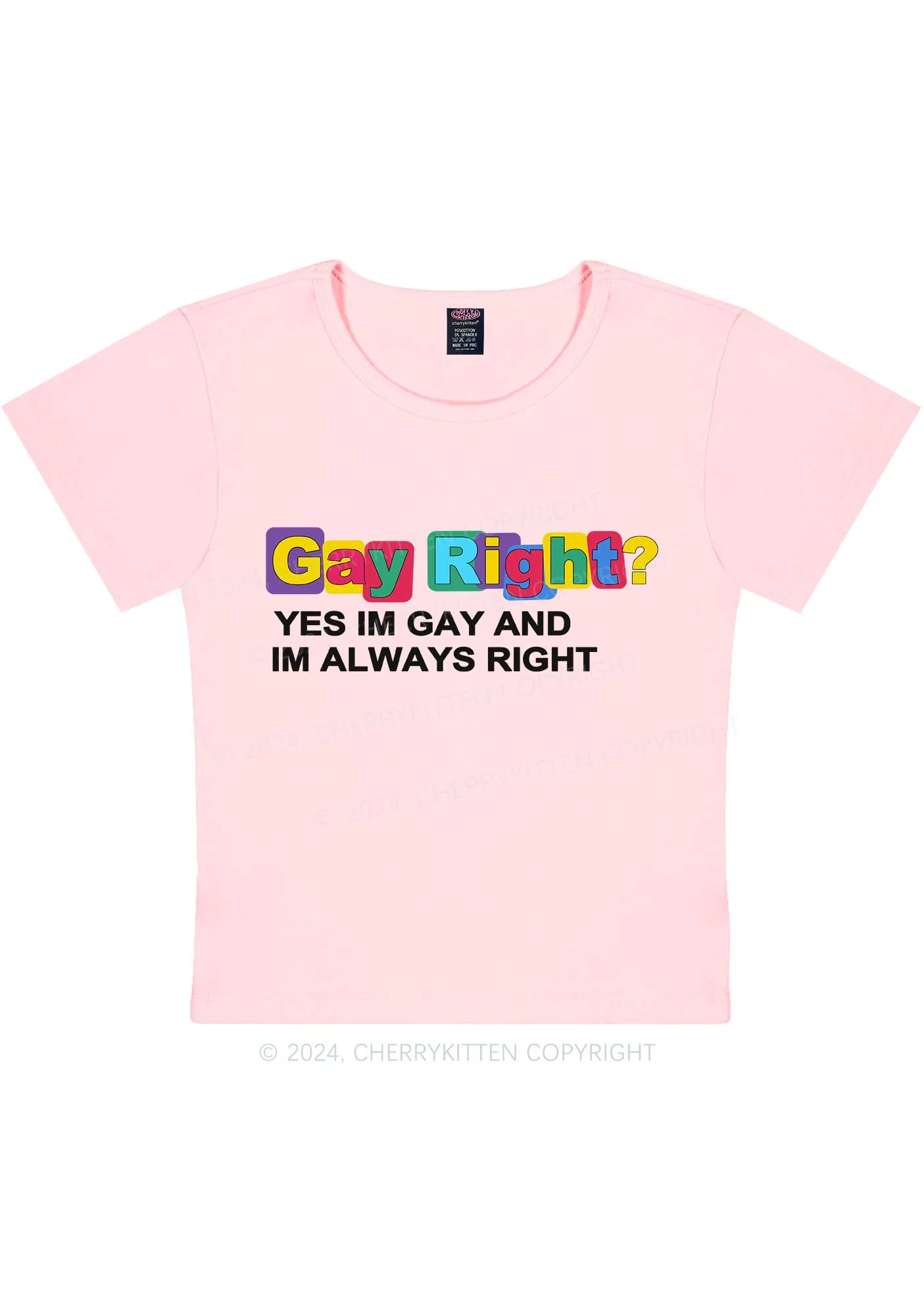 Gay Always Right Y2K Baby Tee Cherrykitten - Image 11
