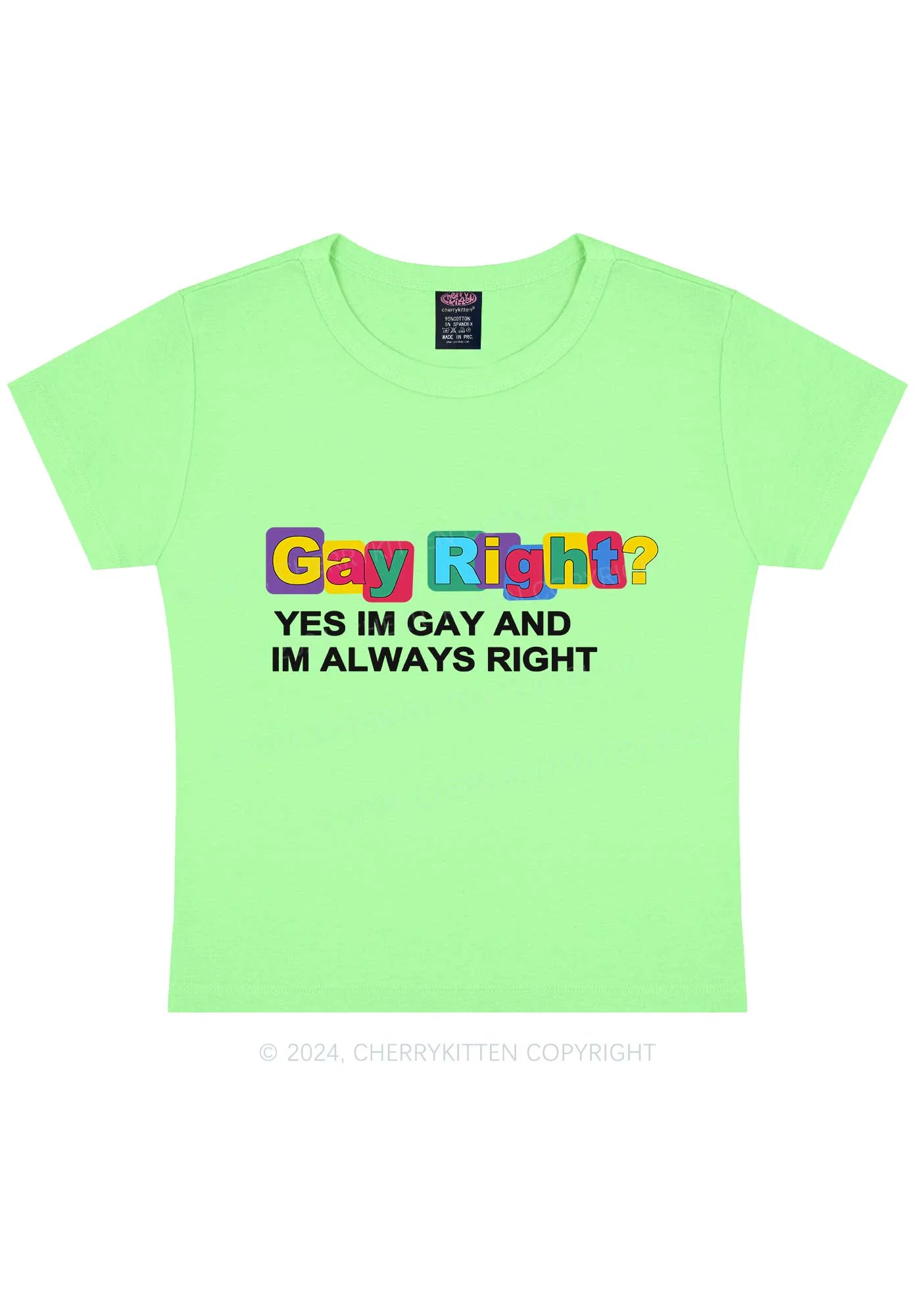 Gay Always Right Y2K Baby Tee Cherrykitten - Image 12