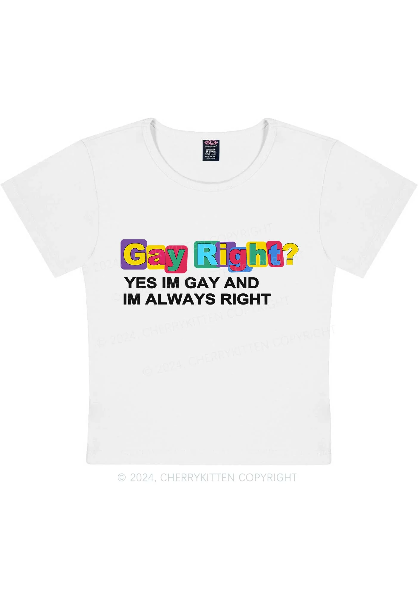 Gay Always Right Y2K Baby Tee Cherrykitten - Image 5