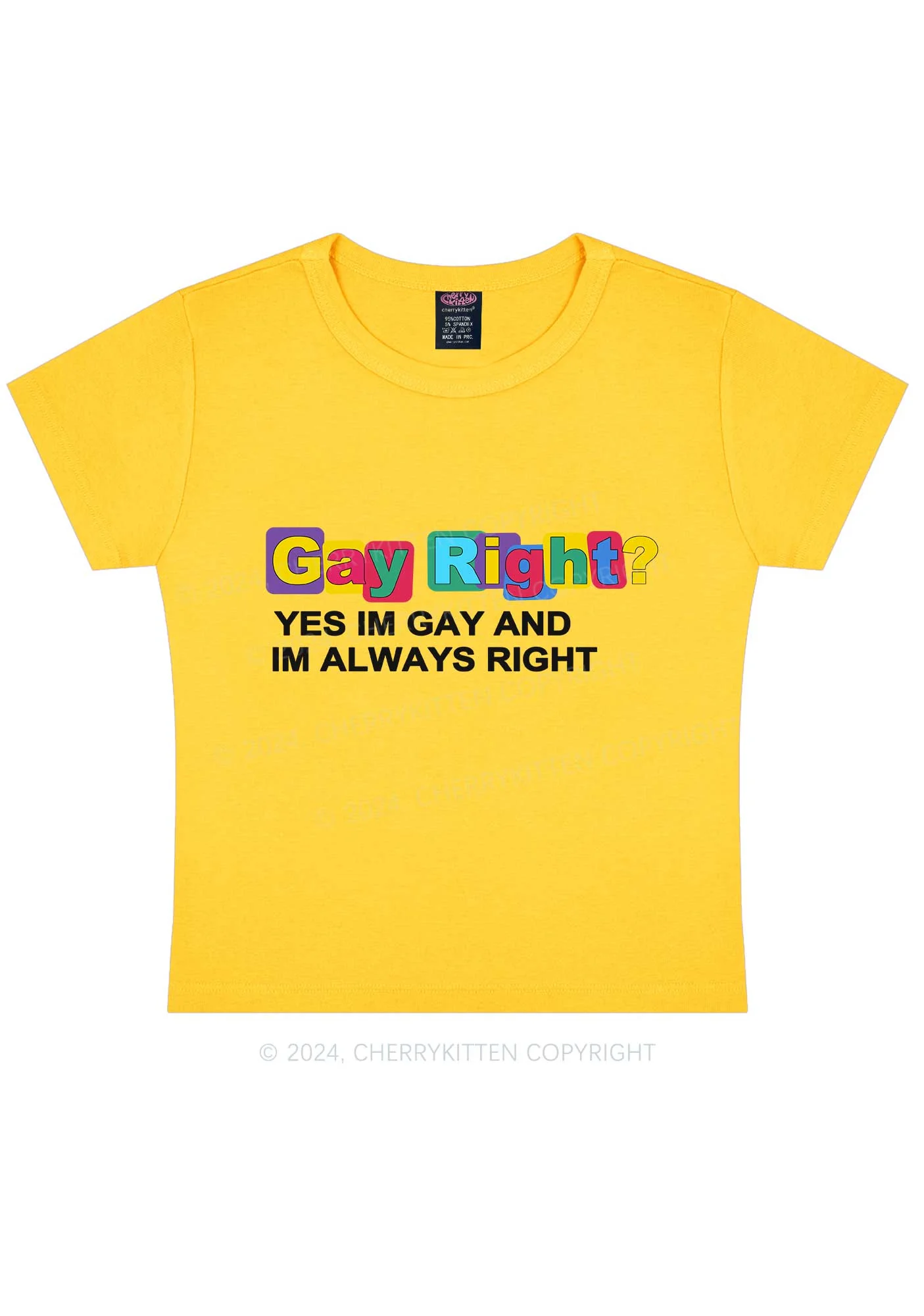 Gay Always Right Y2K Baby Tee Cherrykitten - Image 8