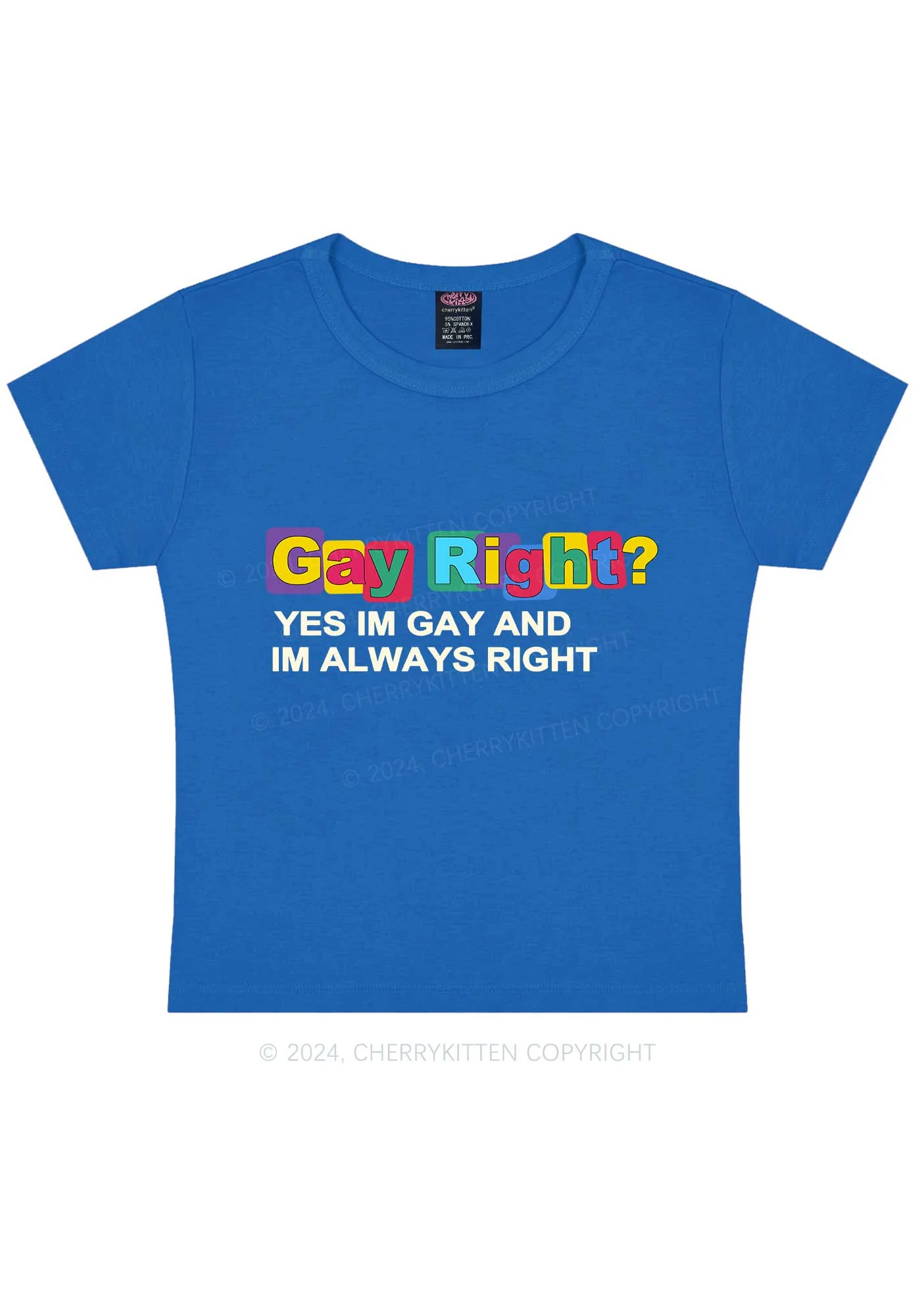 Gay Always Right Y2K Baby Tee Cherrykitten - Image 9