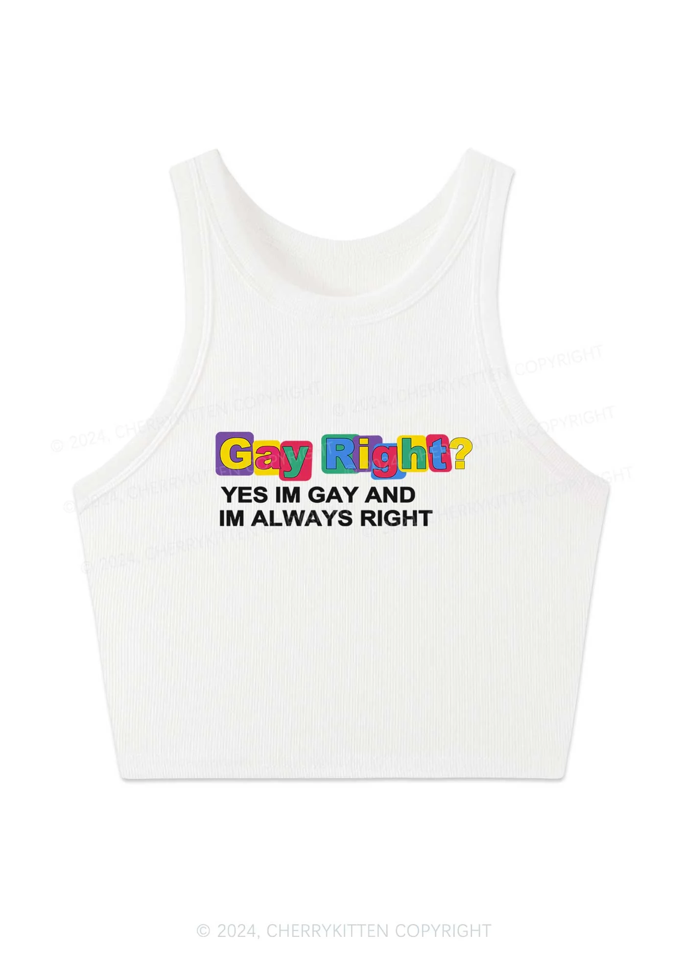 Gay Always Right Y2K Crop Tank Top Cherrykitten - Image 2