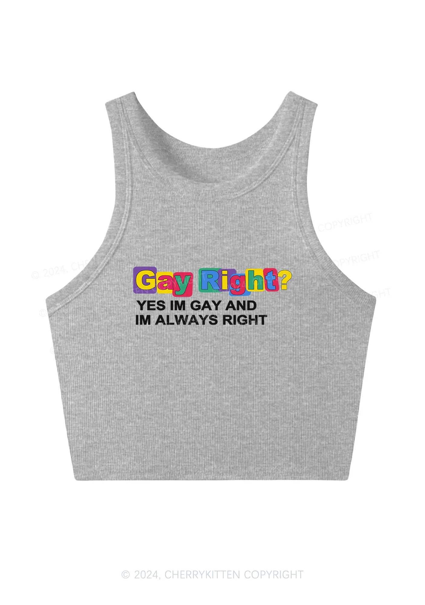 Gay Always Right Y2K Crop Tank Top Cherrykitten - Image 3
