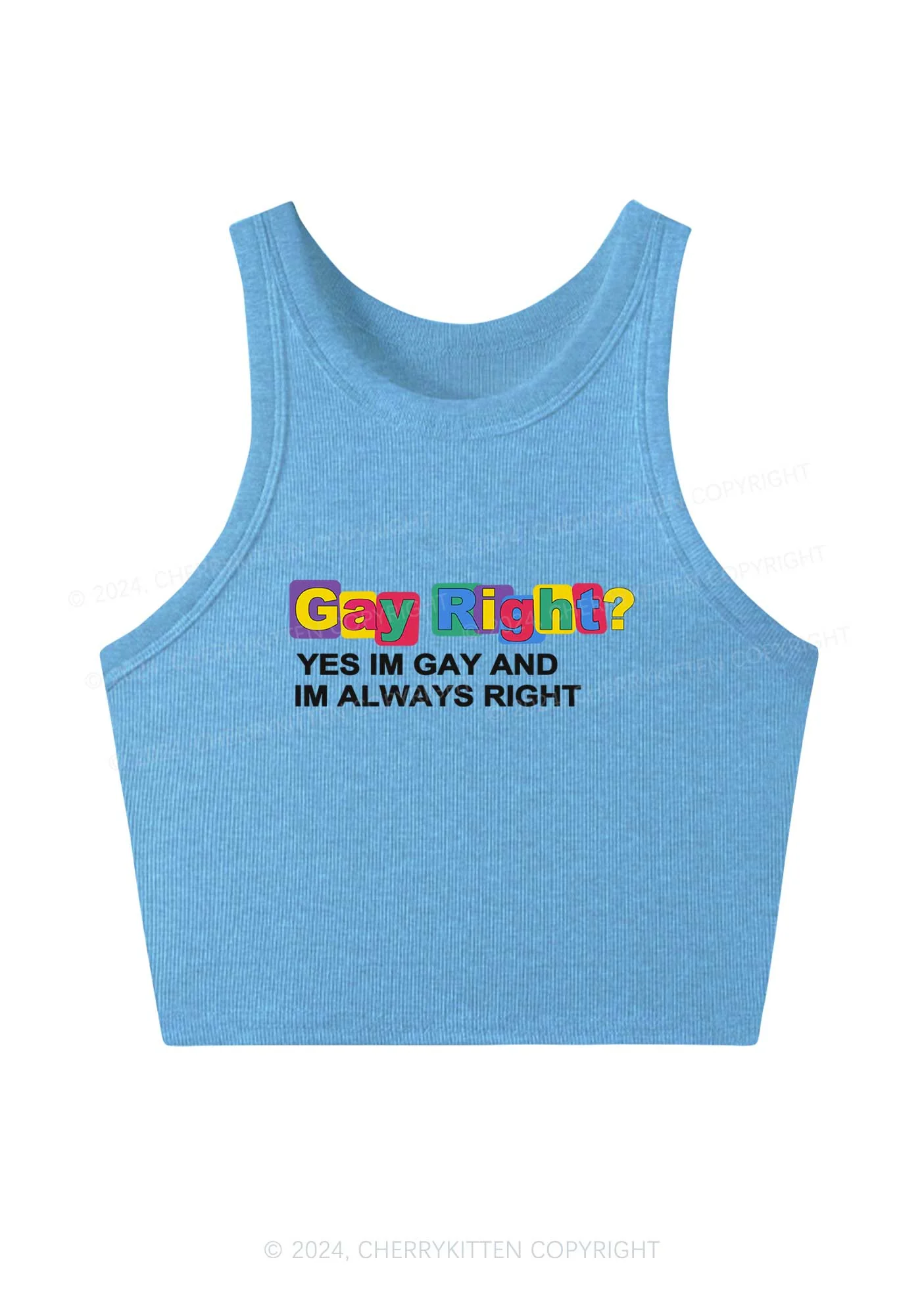 Gay Always Right Y2K Crop Tank Top Cherrykitten - Image 4