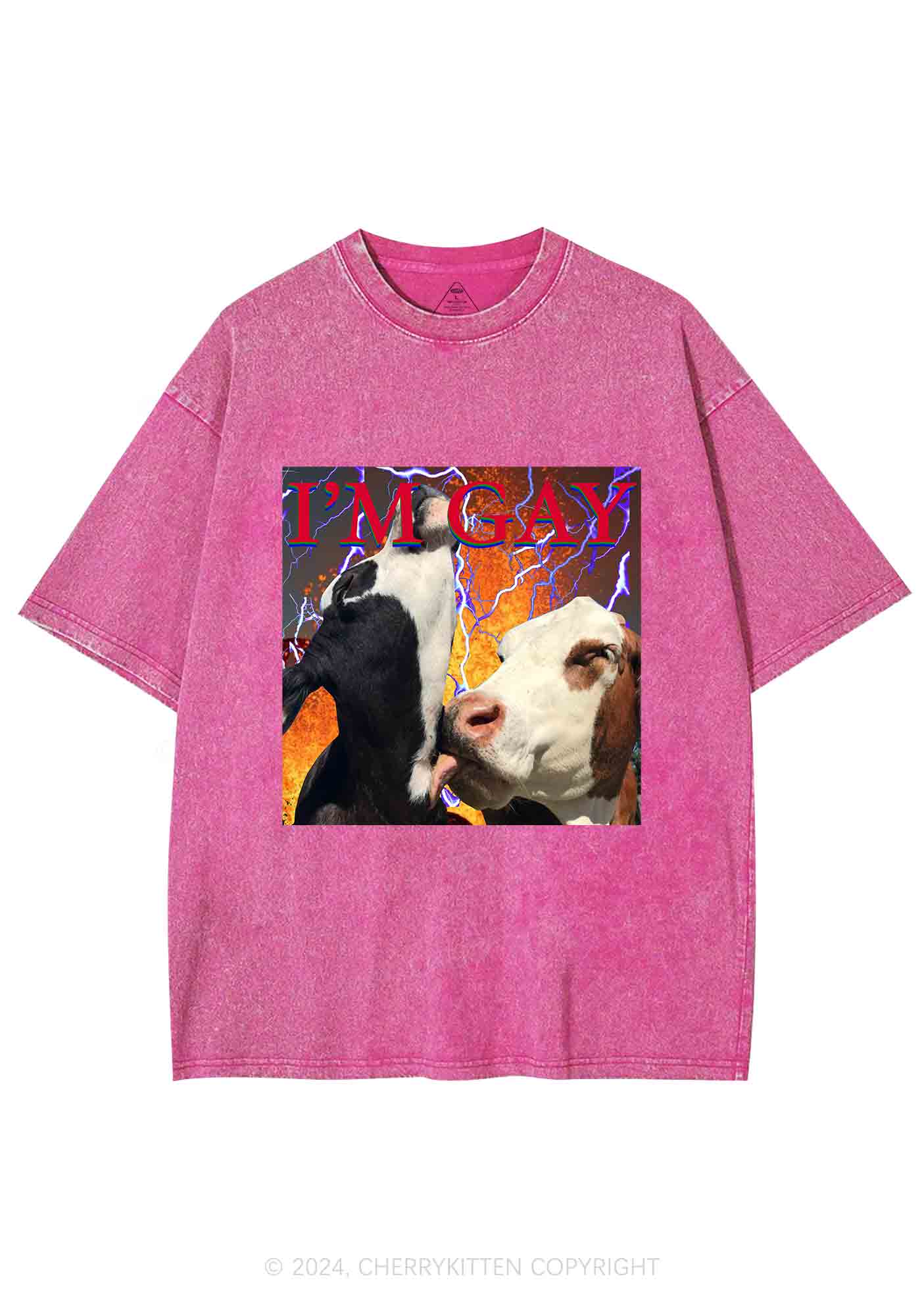 Gay Cow Play Y2K Washed Tee Cherrykitten - Image 3
