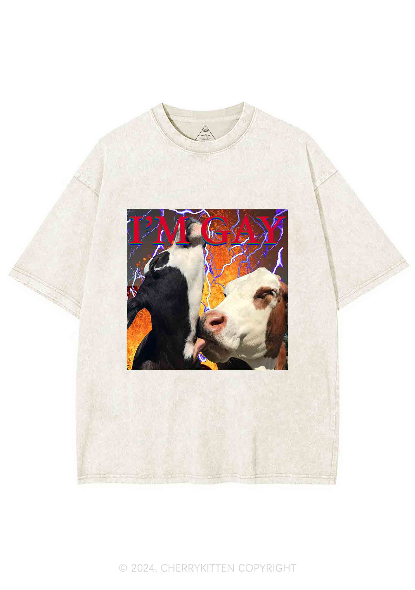 Gay Cow Play Y2K Washed Tee Cherrykitten - Image 4