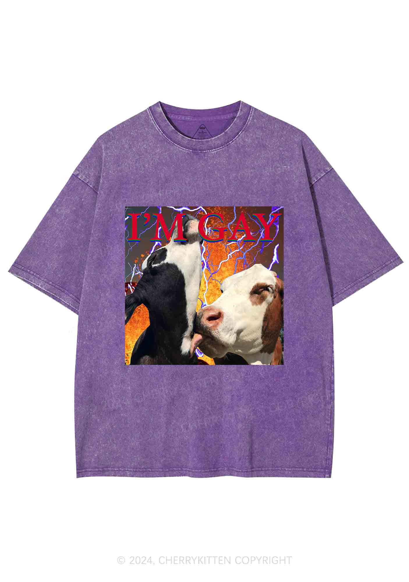 Gay Cow Play Y2K Washed Tee Cherrykitten - Image 5