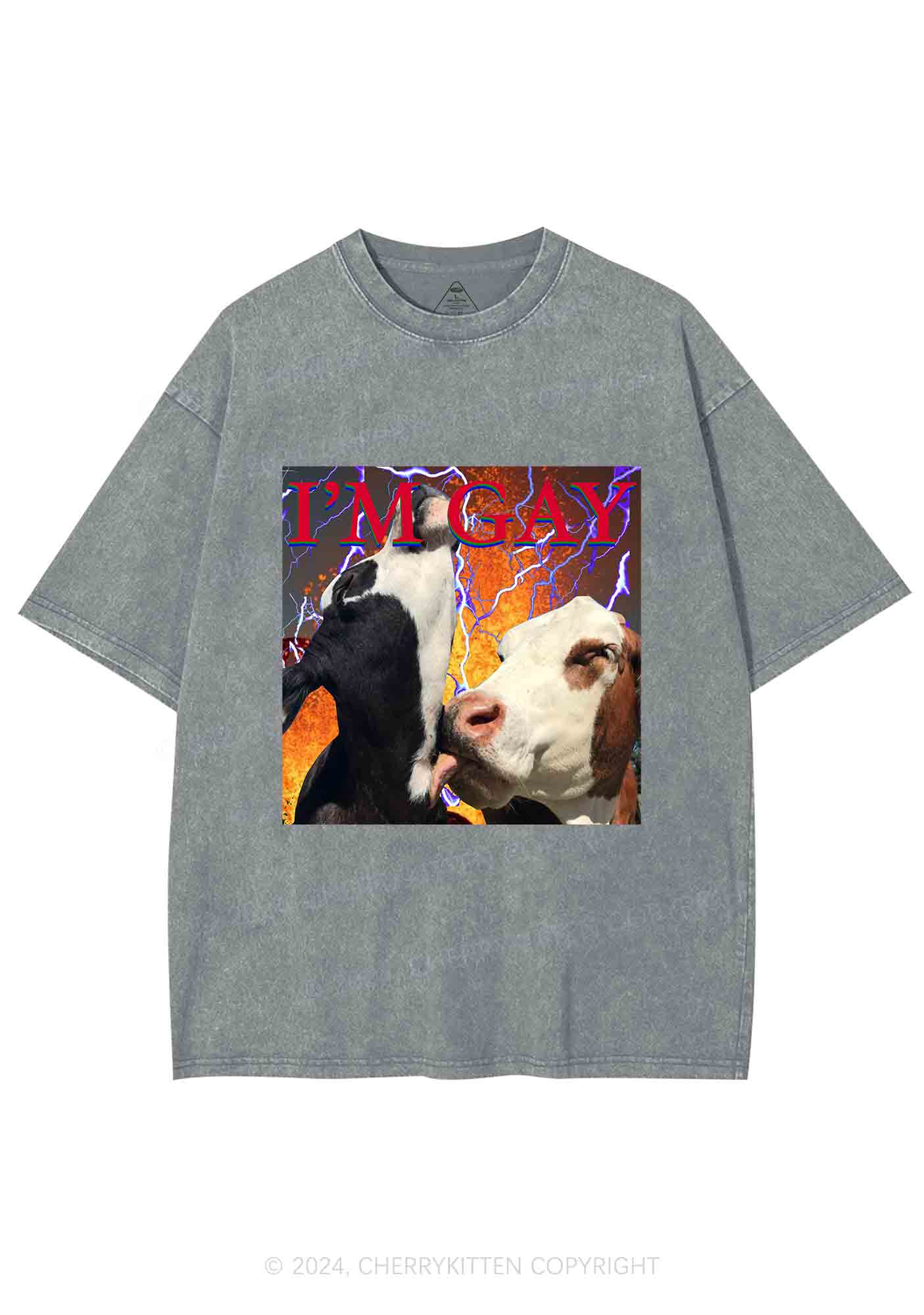Gay Cow Play Y2K Washed Tee Cherrykitten - Image 6