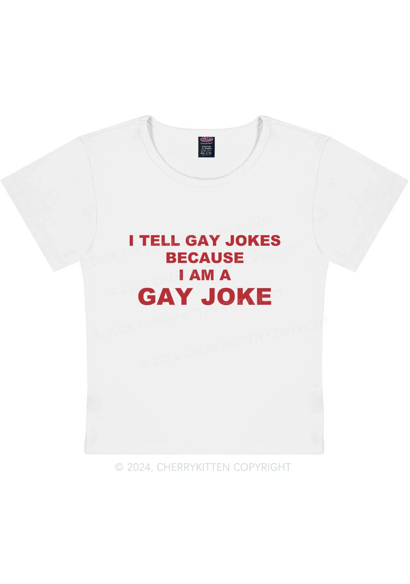 Gay Joke Y2K Baby Tee Cherrykitten - Image 5