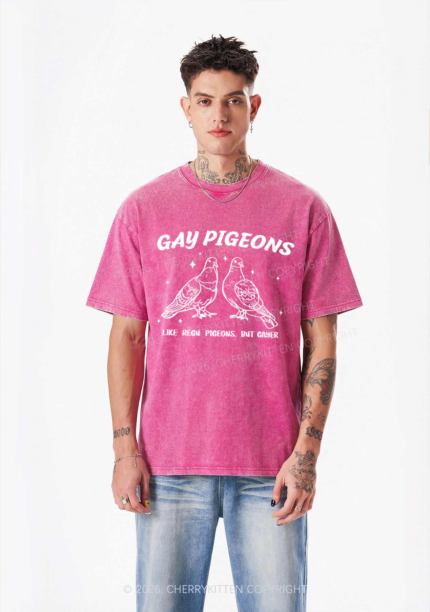 Gay Pigeons Pride Y2K Shirts Washed Tee Cherrykitten - Image 2