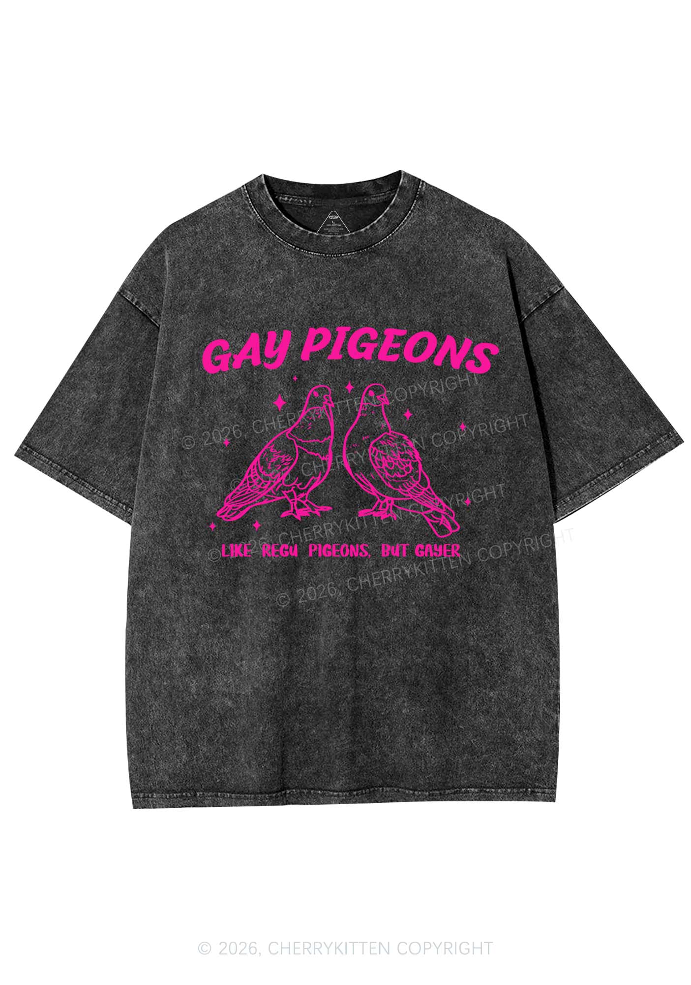 Gay Pigeons Pride Y2K Shirts Washed Tee Cherrykitten - Image 3