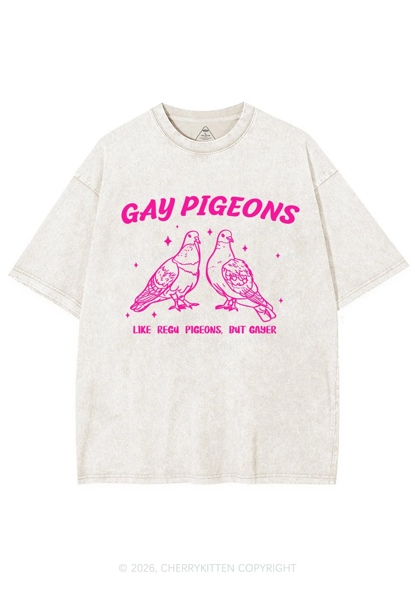 Gay Pigeons Pride Y2K Shirts Washed Tee Cherrykitten - Image 4