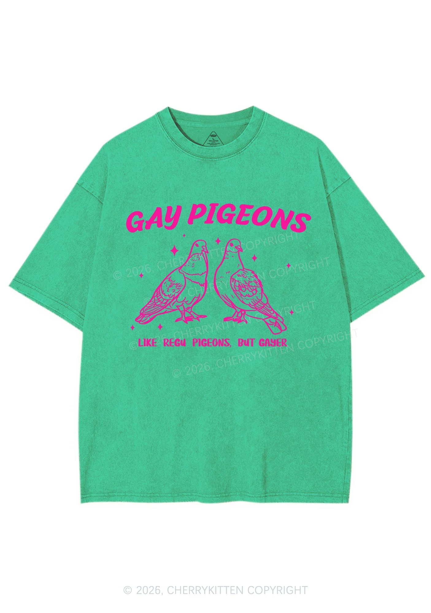 Gay Pigeons Pride Y2K Shirts Washed Tee Cherrykitten - Image 8