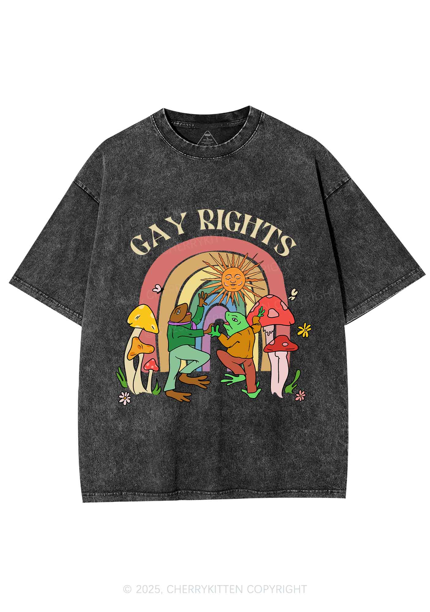 Gay Rights Pride Y2K Shirts Washed Tee Cherrykitten - Image 3