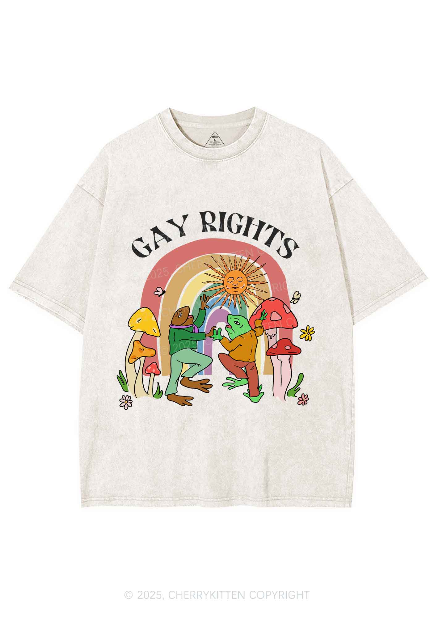 Gay Rights Pride Y2K Shirts Washed Tee Cherrykitten - Image 4