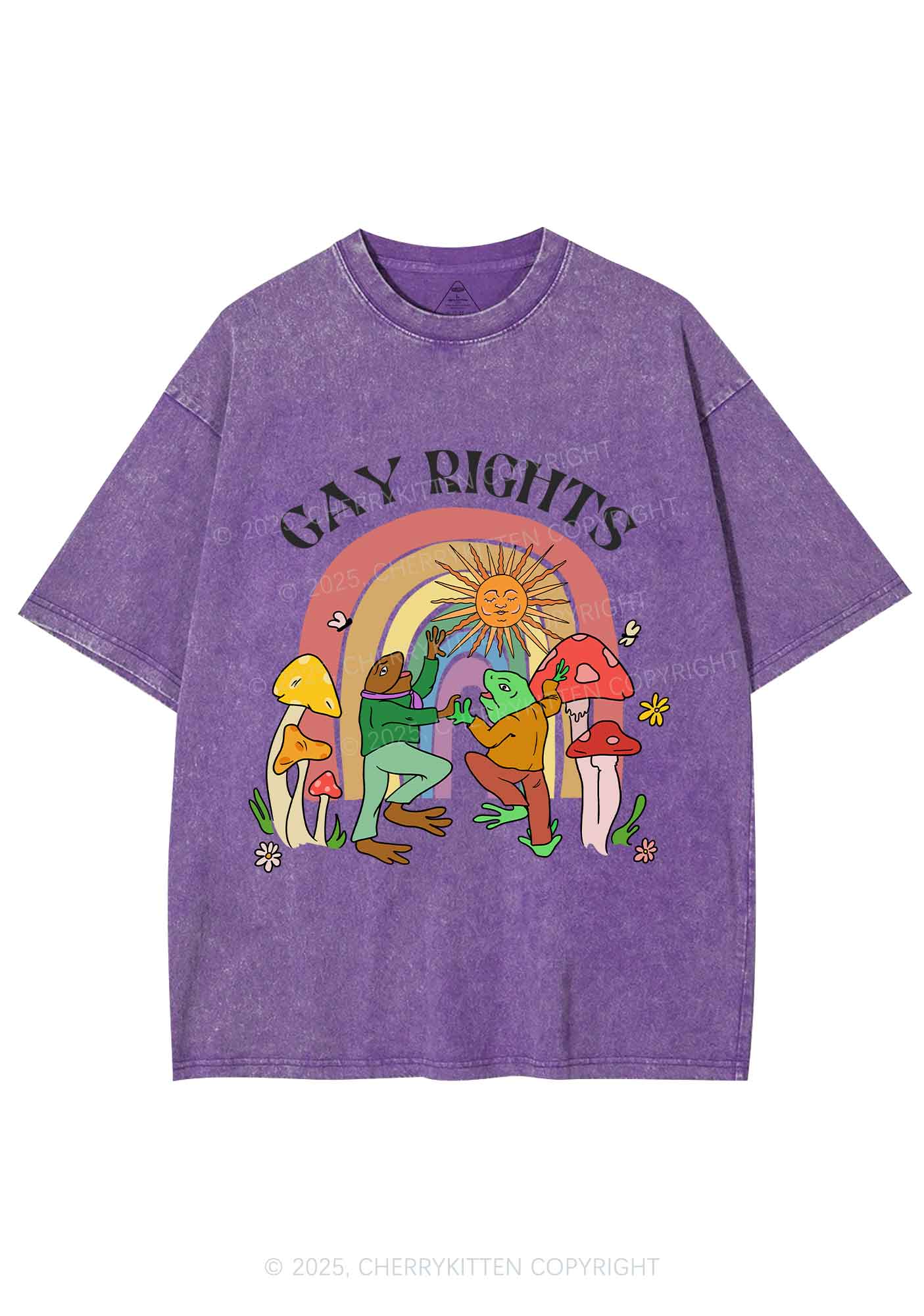 Gay Rights Pride Y2K Shirts Washed Tee Cherrykitten - Image 5