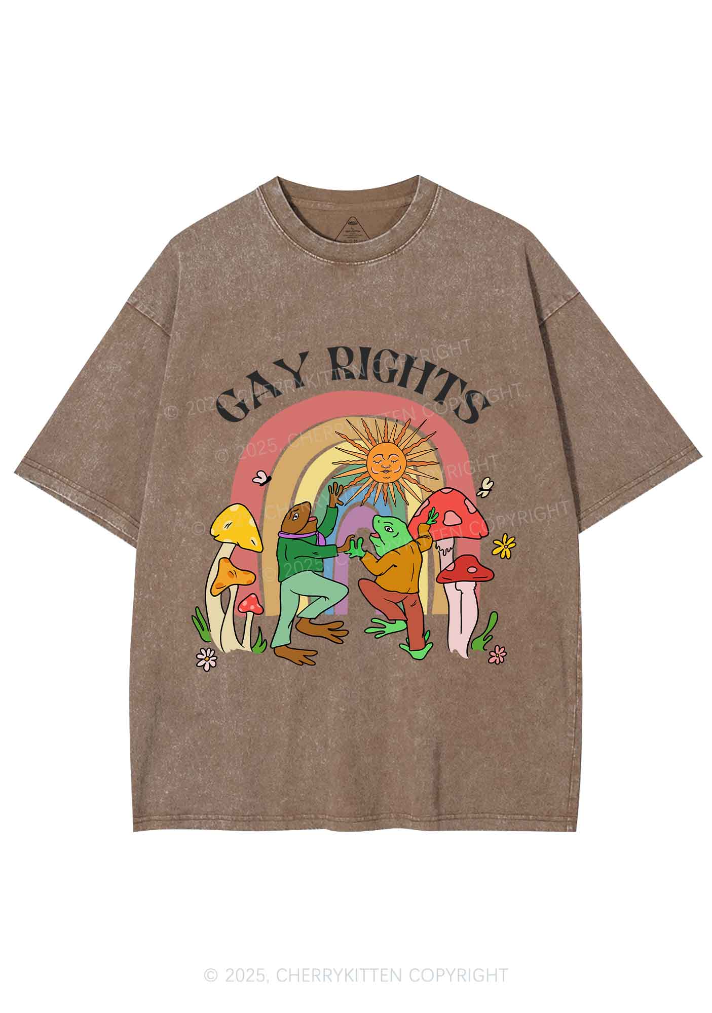 Gay Rights Pride Y2K Shirts Washed Tee Cherrykitten - Image 6