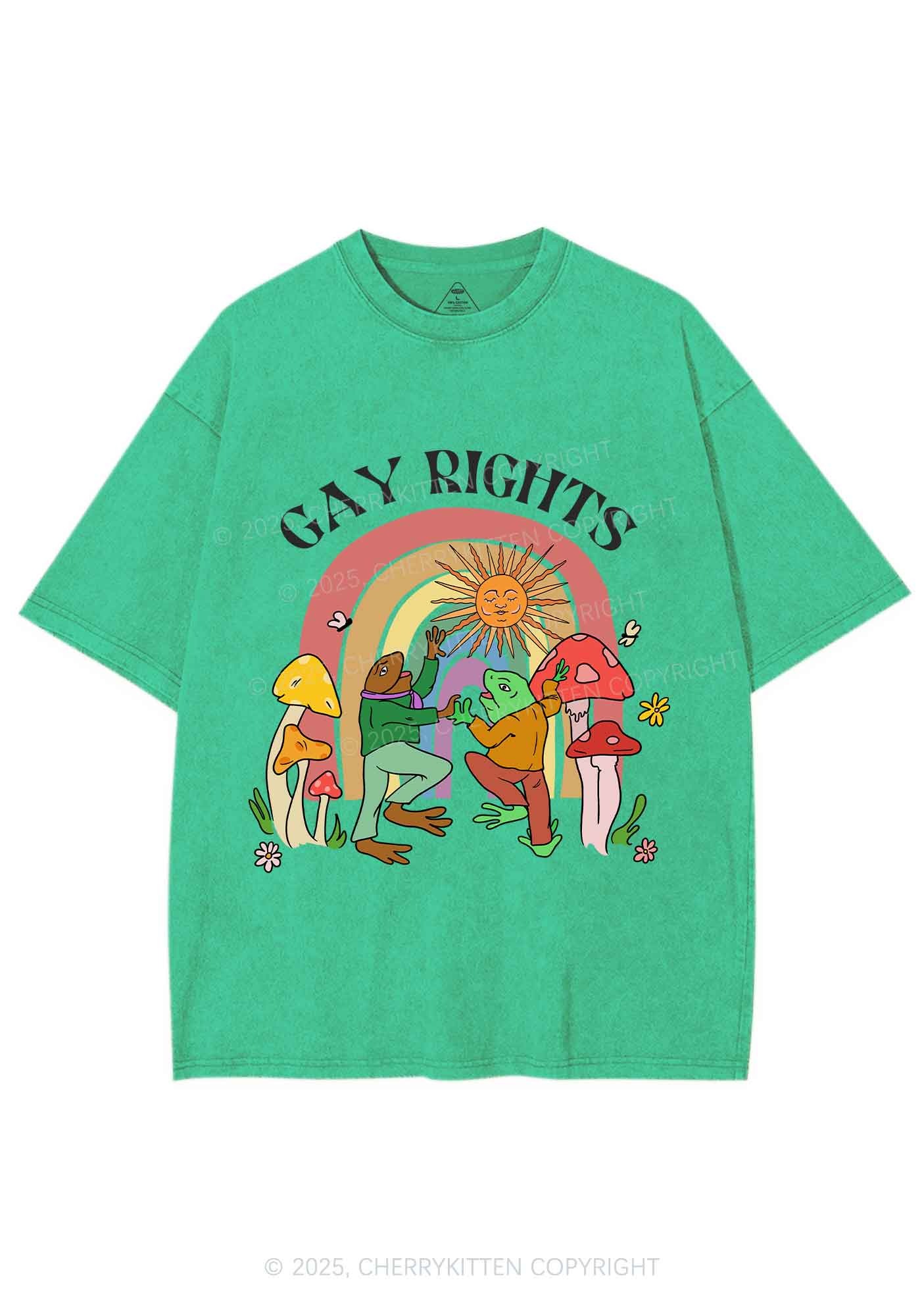 Gay Rights Pride Y2K Shirts Washed Tee Cherrykitten - Image 8
