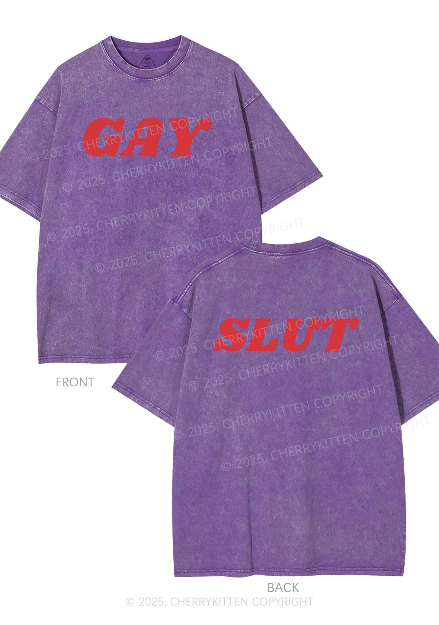Gay Slxt Two Sides Pride Y2K Shirts Washed Tee Cherrykitten - Image 6