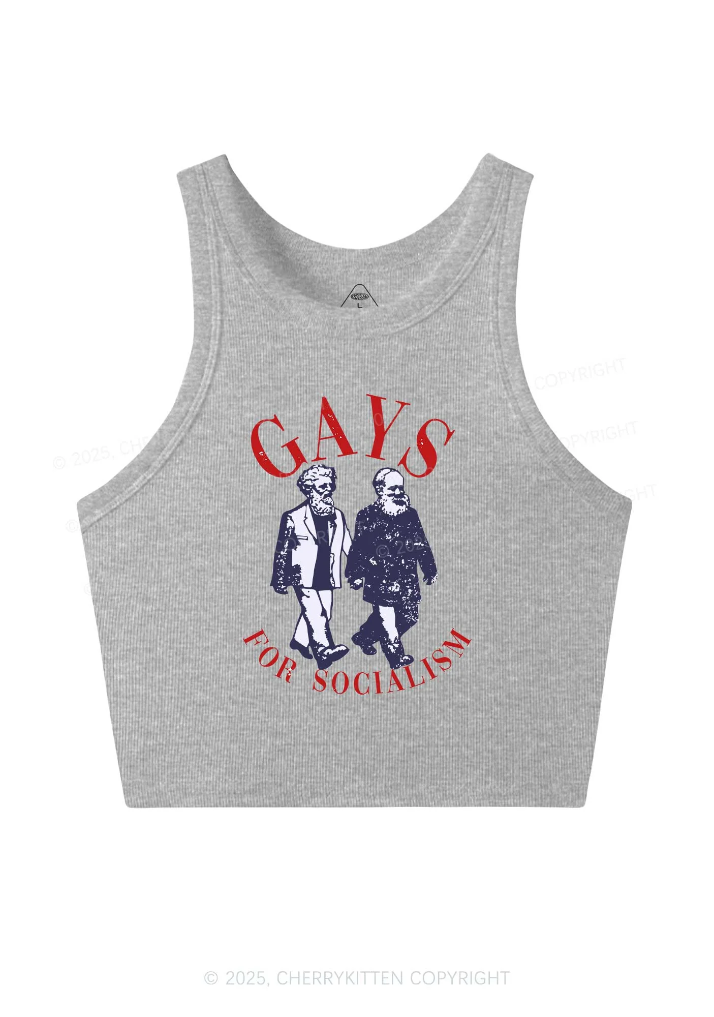 Gays For Socialism Pride Y2K Crop Tank Top Cherrykitten - Image 3