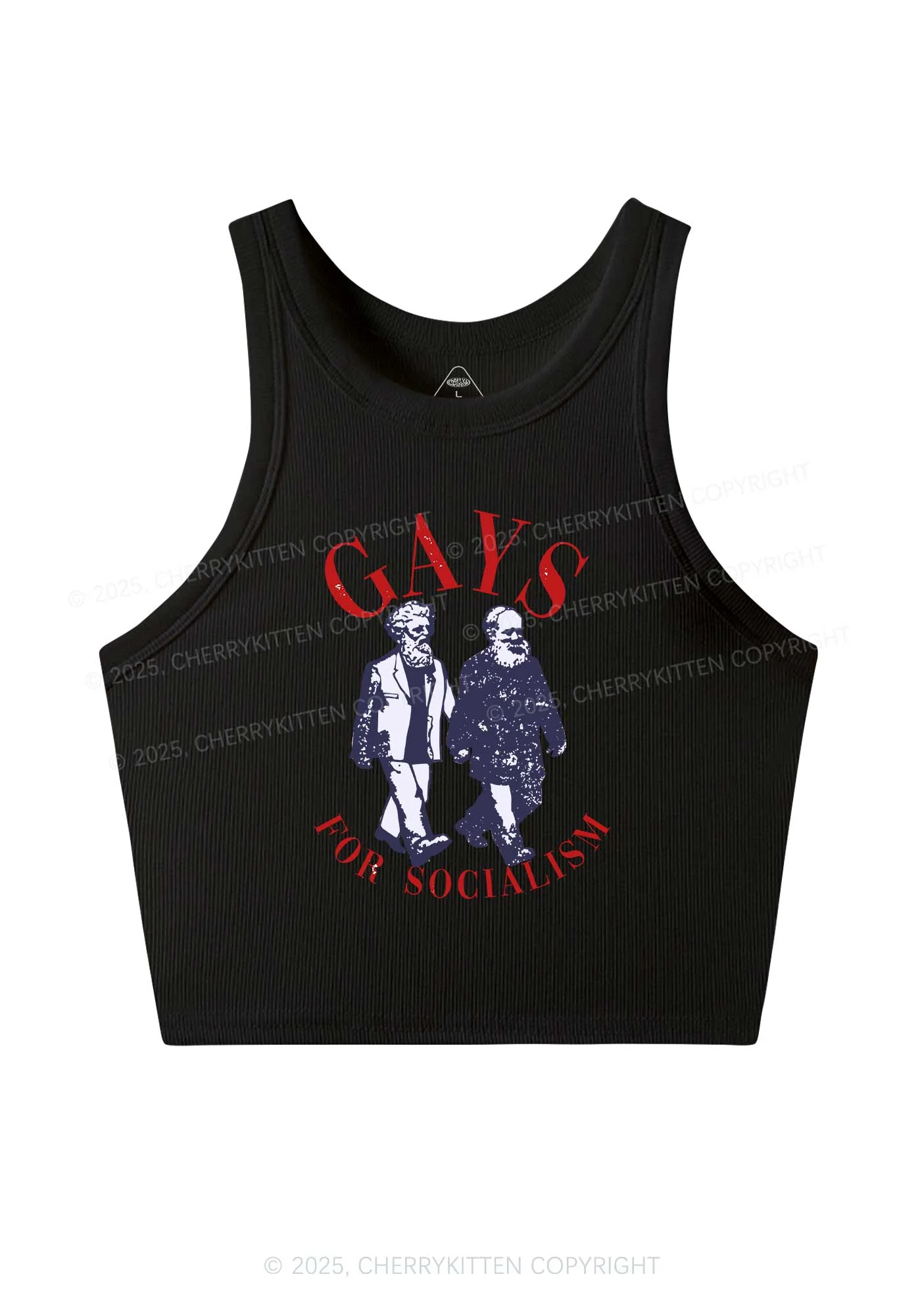 Gays For Socialism Pride Y2K Crop Tank Top Cherrykitten - Image 4