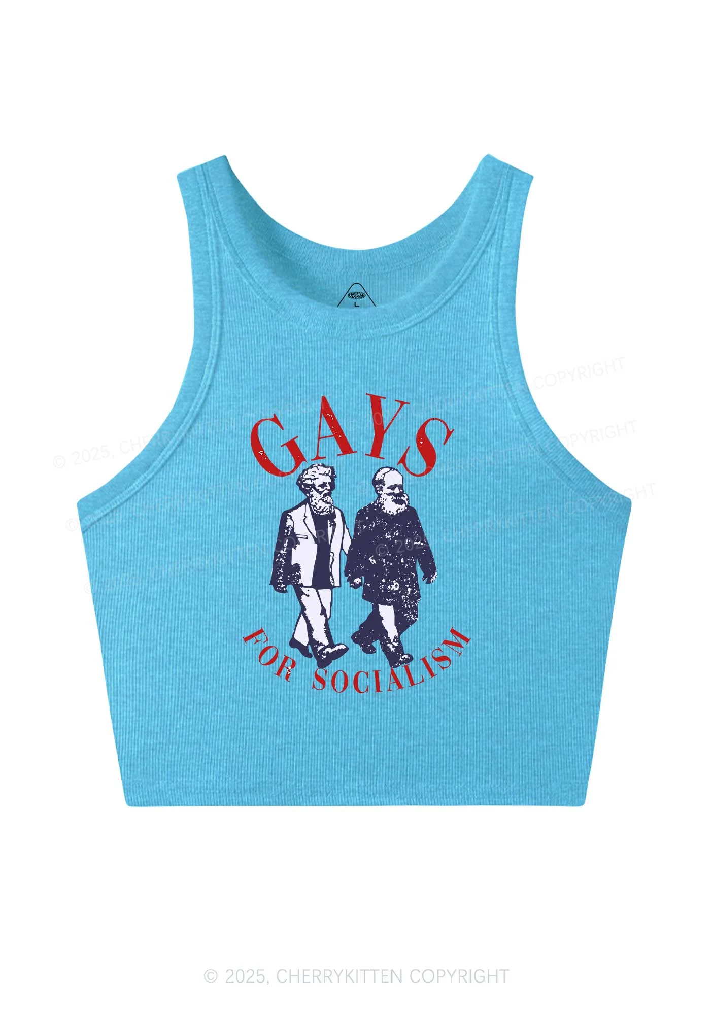 Gays For Socialism Pride Y2K Crop Tank Top Cherrykitten - Image 5